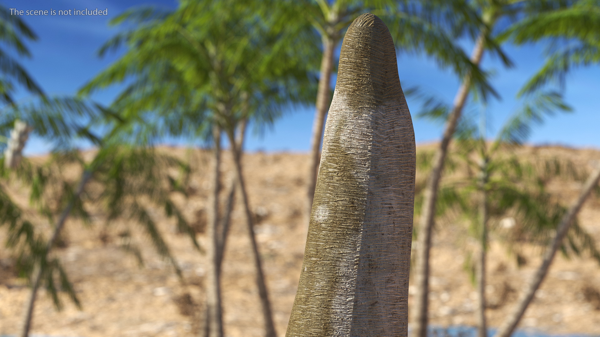 3D Dragon Blood Tree Trunk model