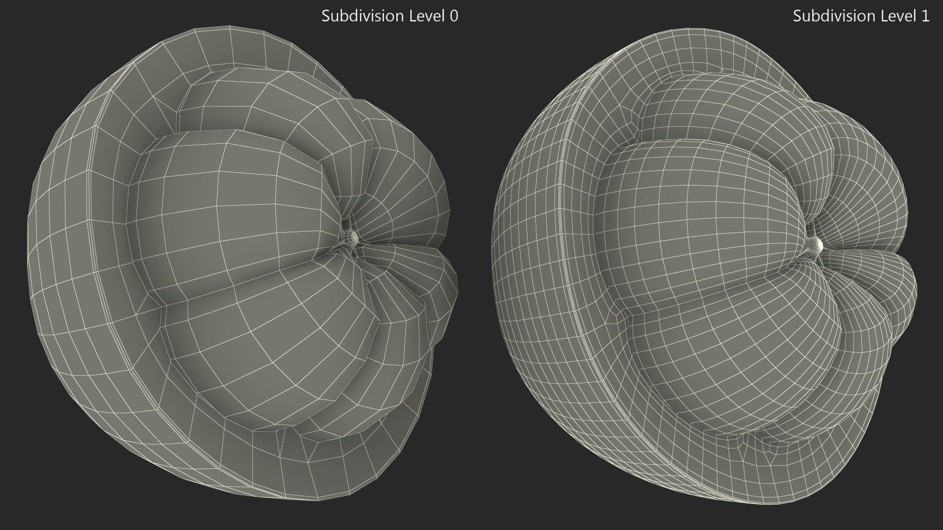 Half Peeled Tropical Fruit Mangosteen 3D