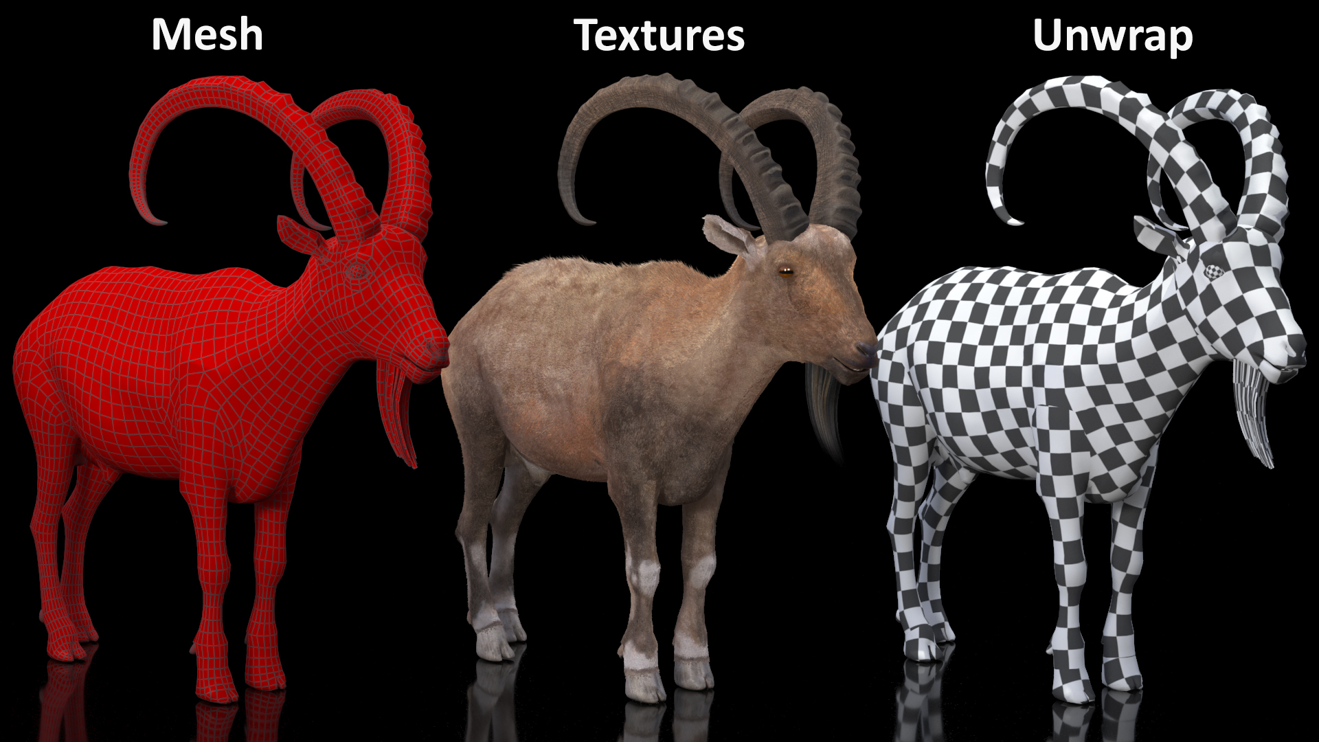 3D Alpine Ibex Stand Pose Fur