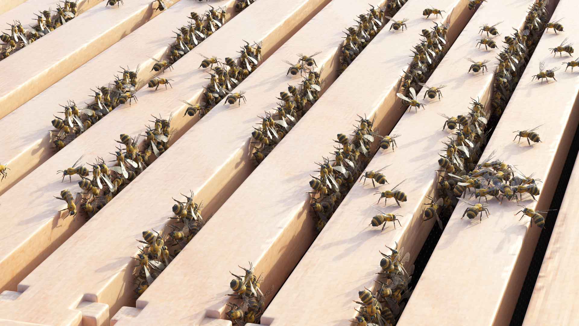 Brood Box Cedar 8 frames 3D model