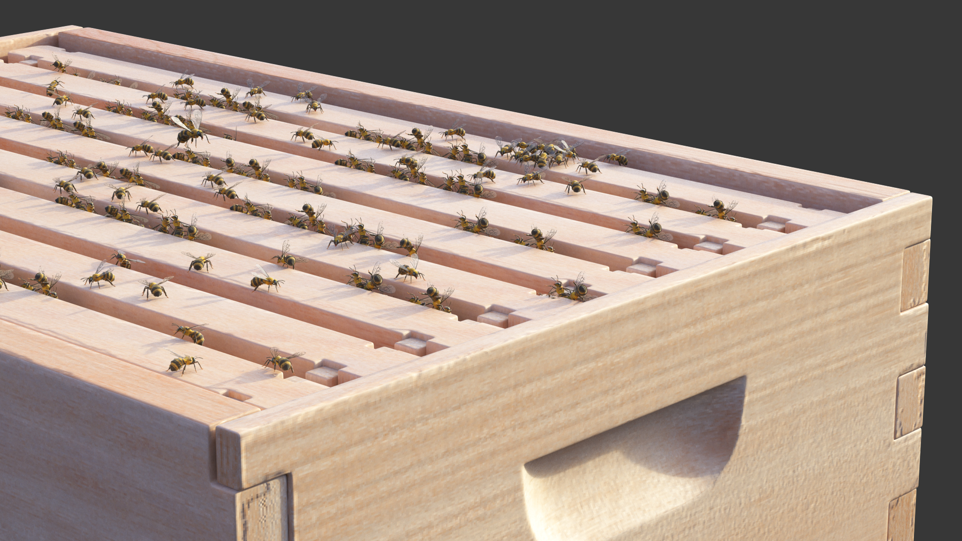 Brood Box Cedar 8 frames 3D model