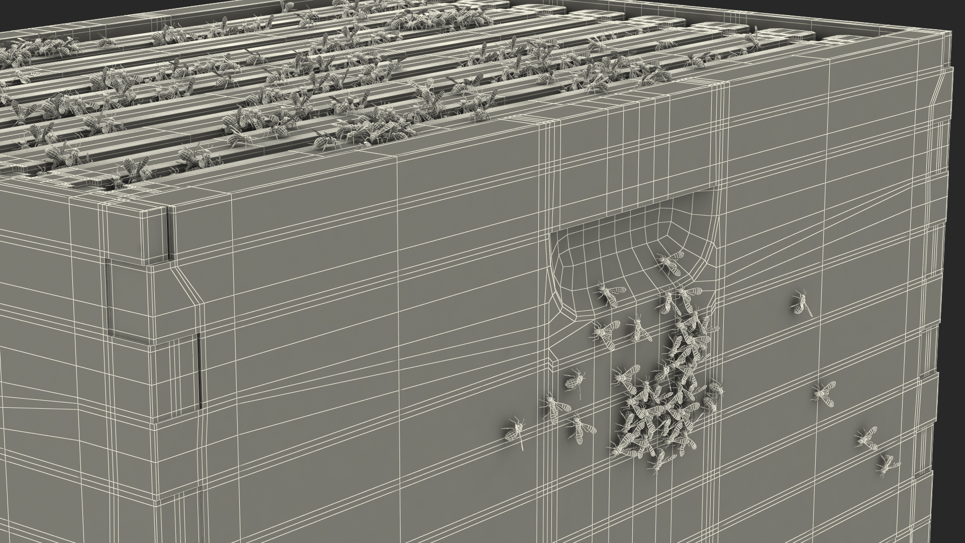 Brood Box Cedar 8 frames 3D model
