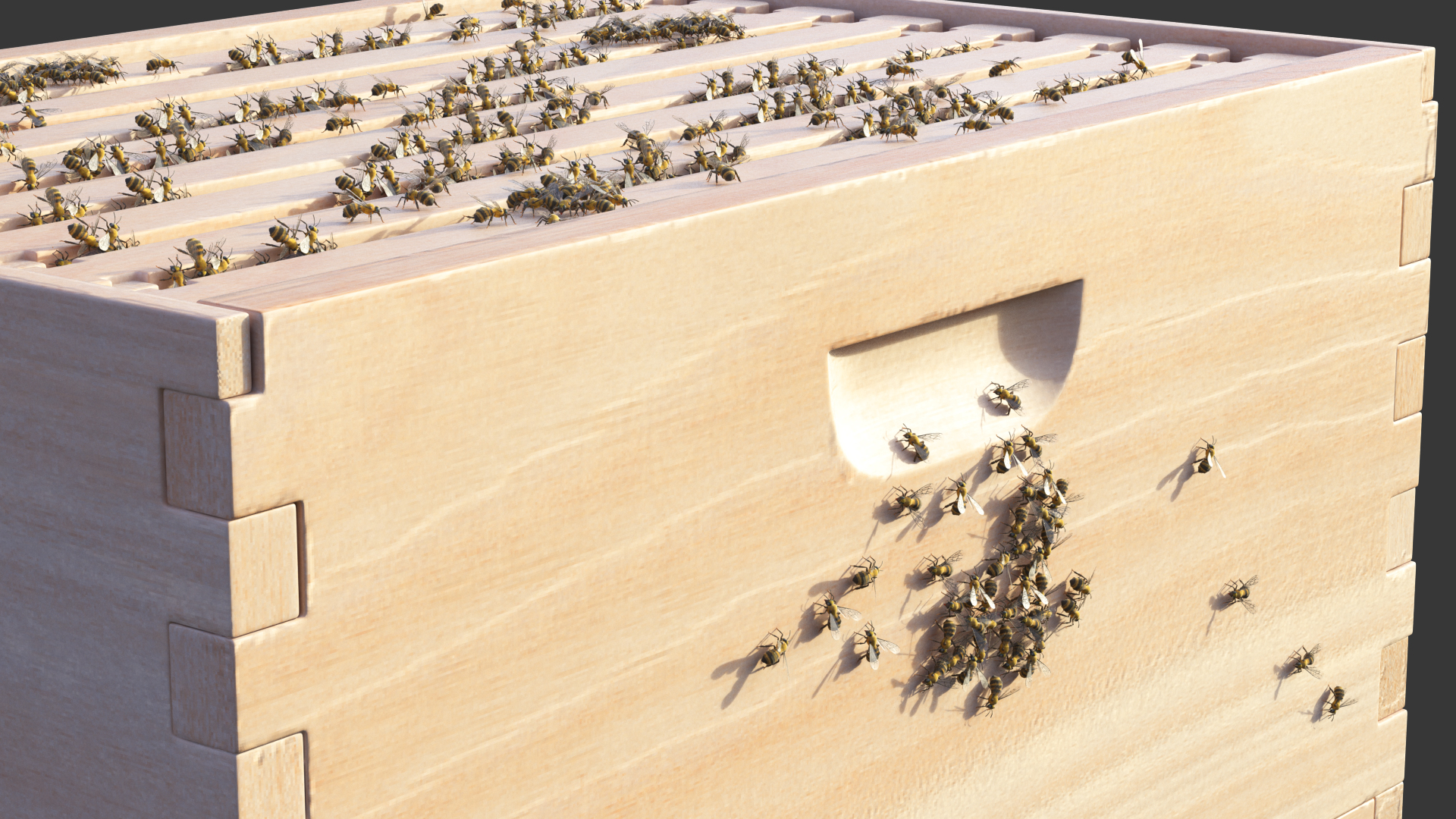 Brood Box Cedar 8 frames 3D model