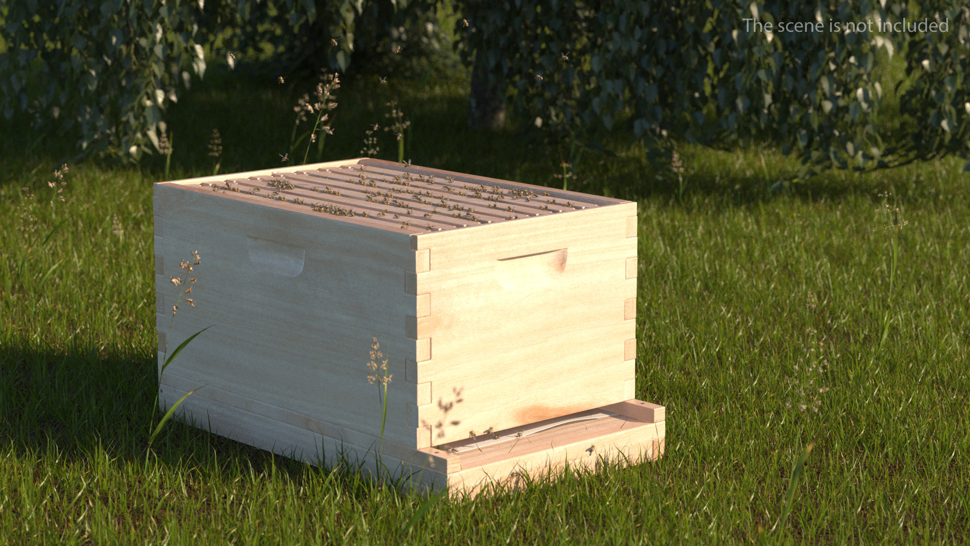 Brood Box Cedar 8 frames 3D model