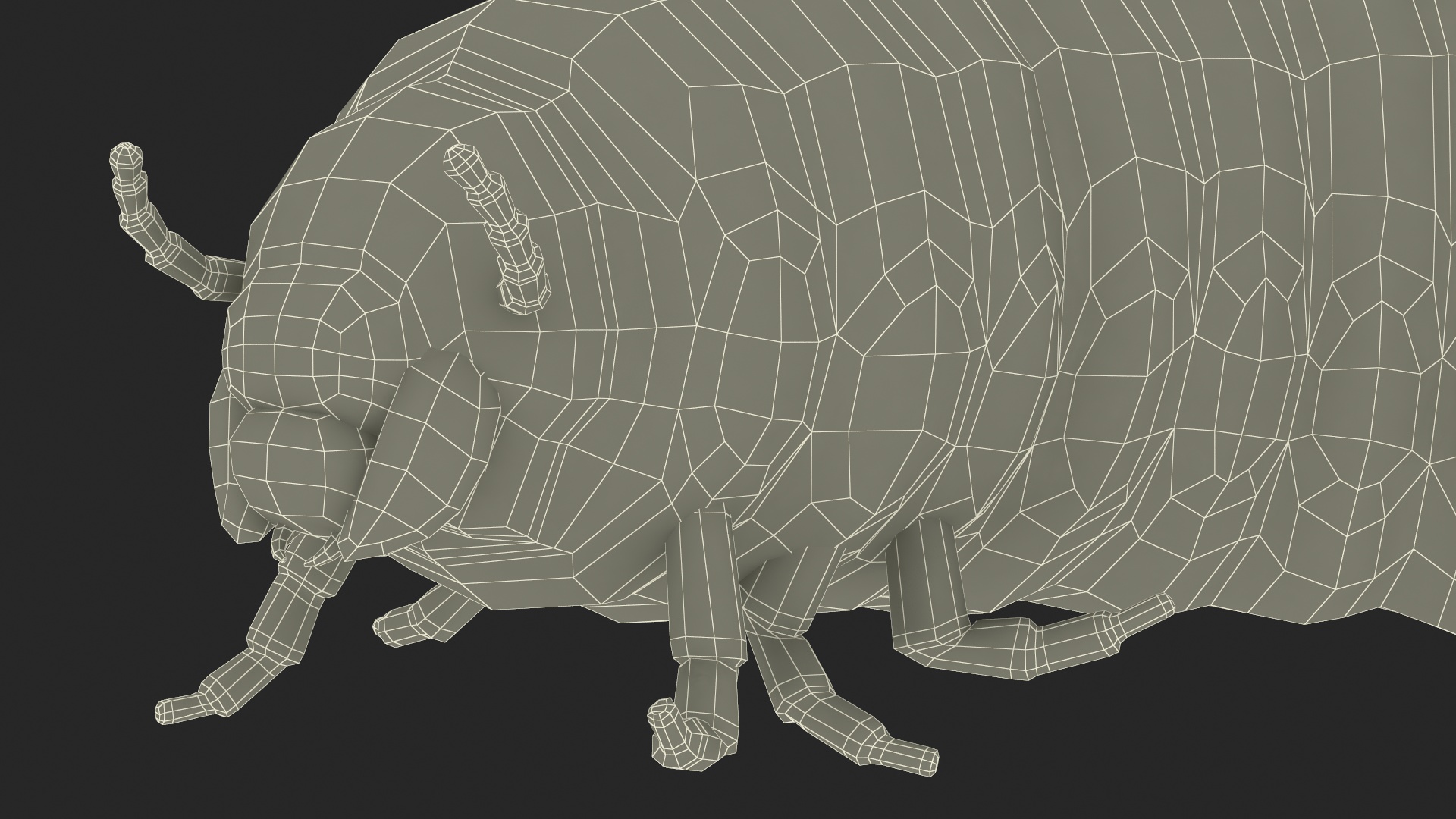 3D model Maggot May Bug Rigged for Maya