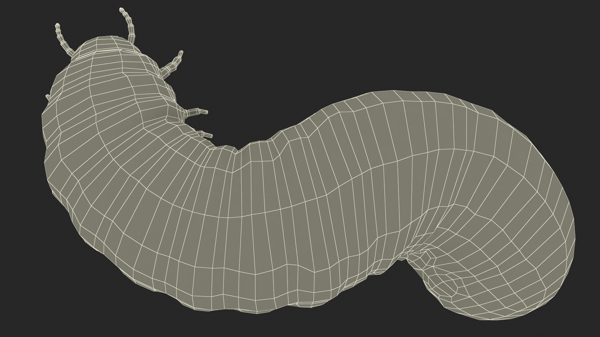 3D model Maggot May Bug Rigged for Maya