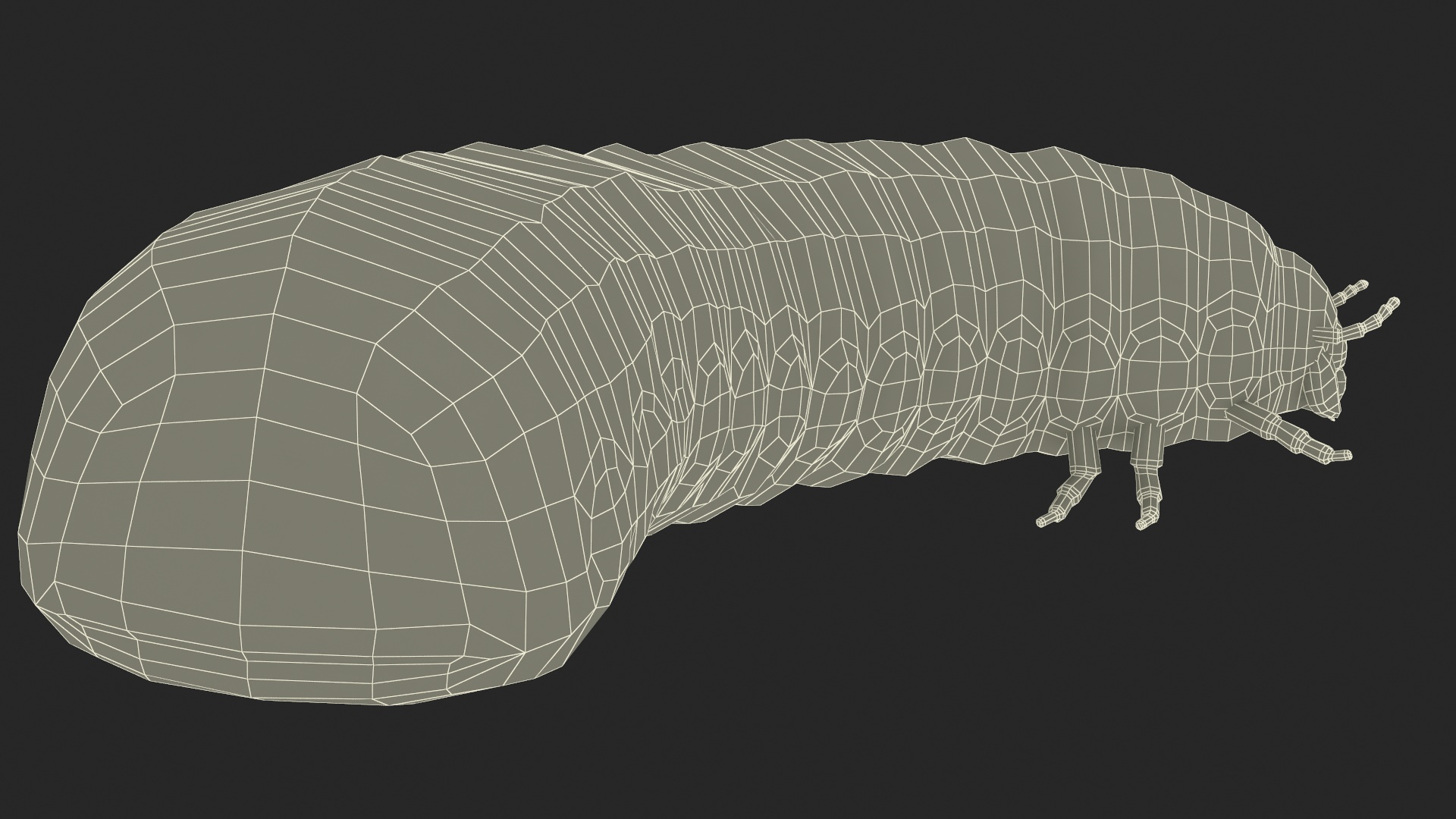 3D model Maggot May Bug Rigged for Maya