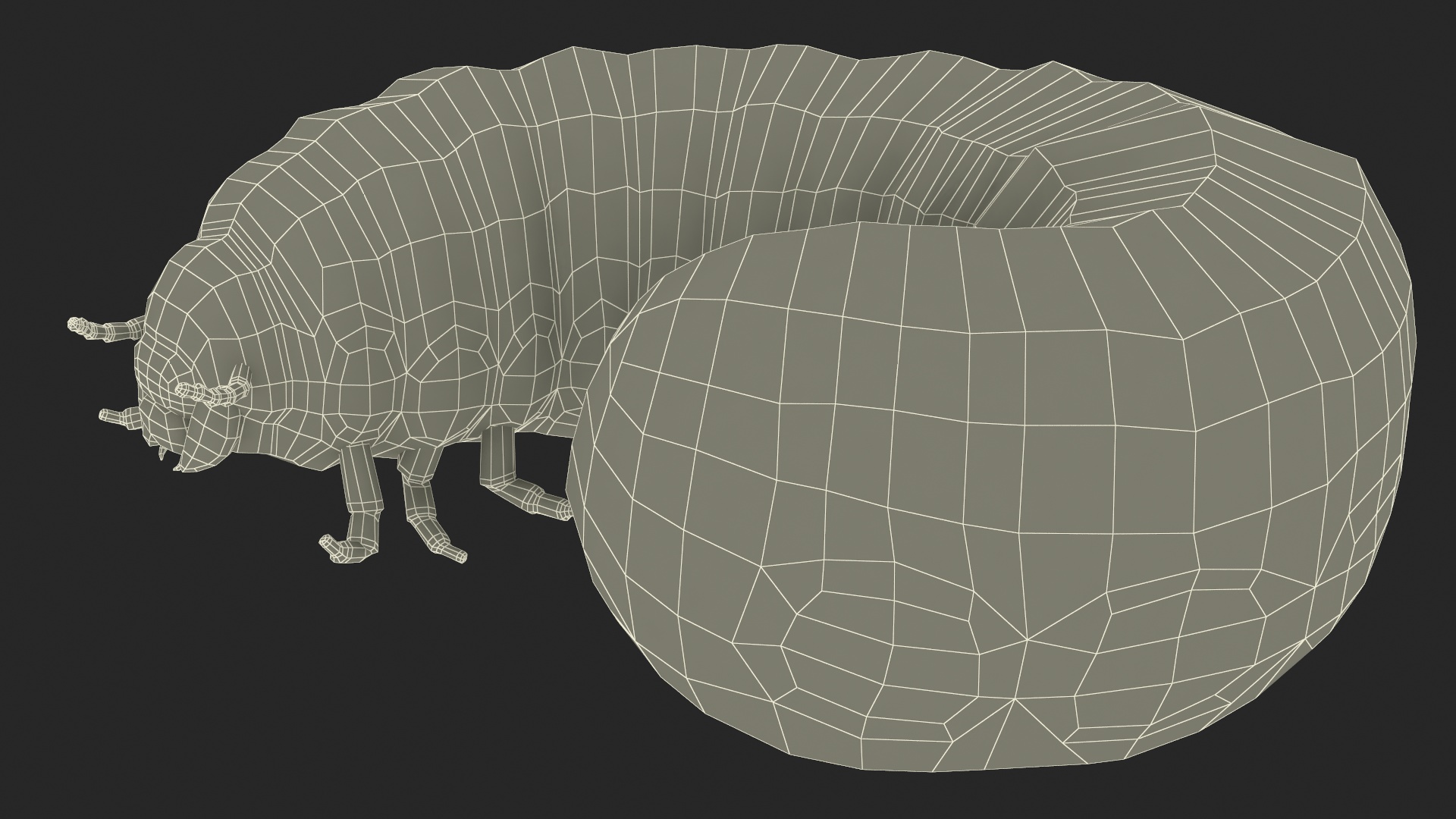 3D model Maggot May Bug Rigged for Maya