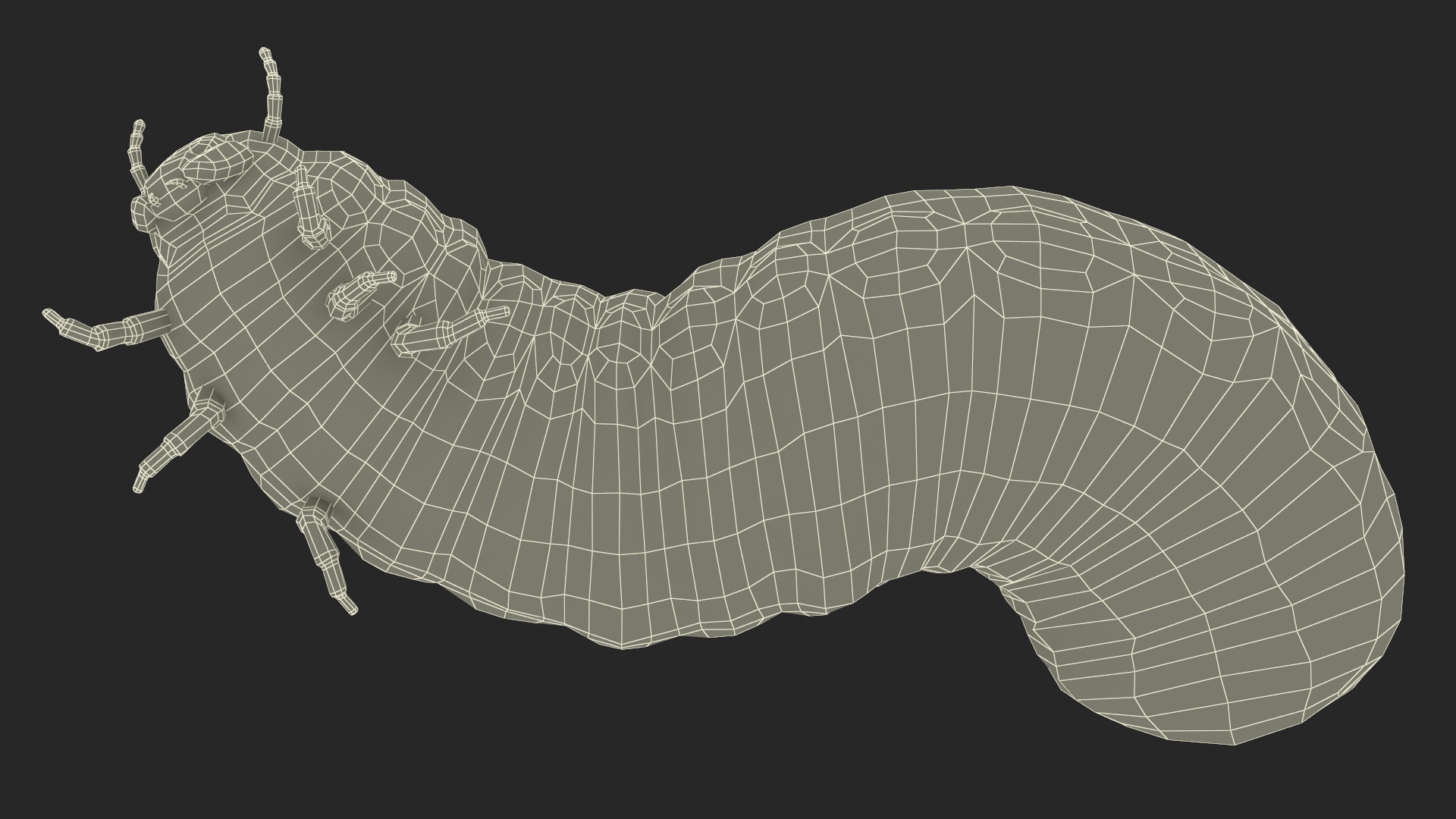3D model Maggot May Bug Rigged for Maya