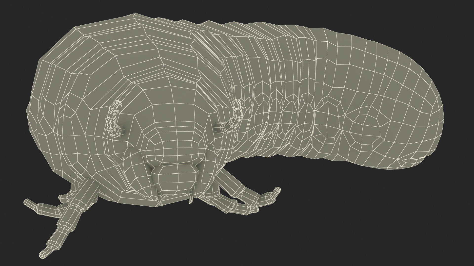 3D model Maggot May Bug Rigged for Maya