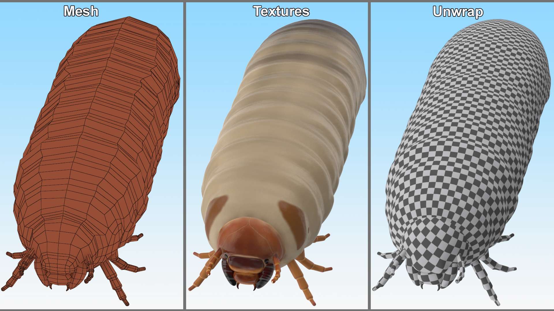 3D model Maggot May Bug Rigged for Maya
