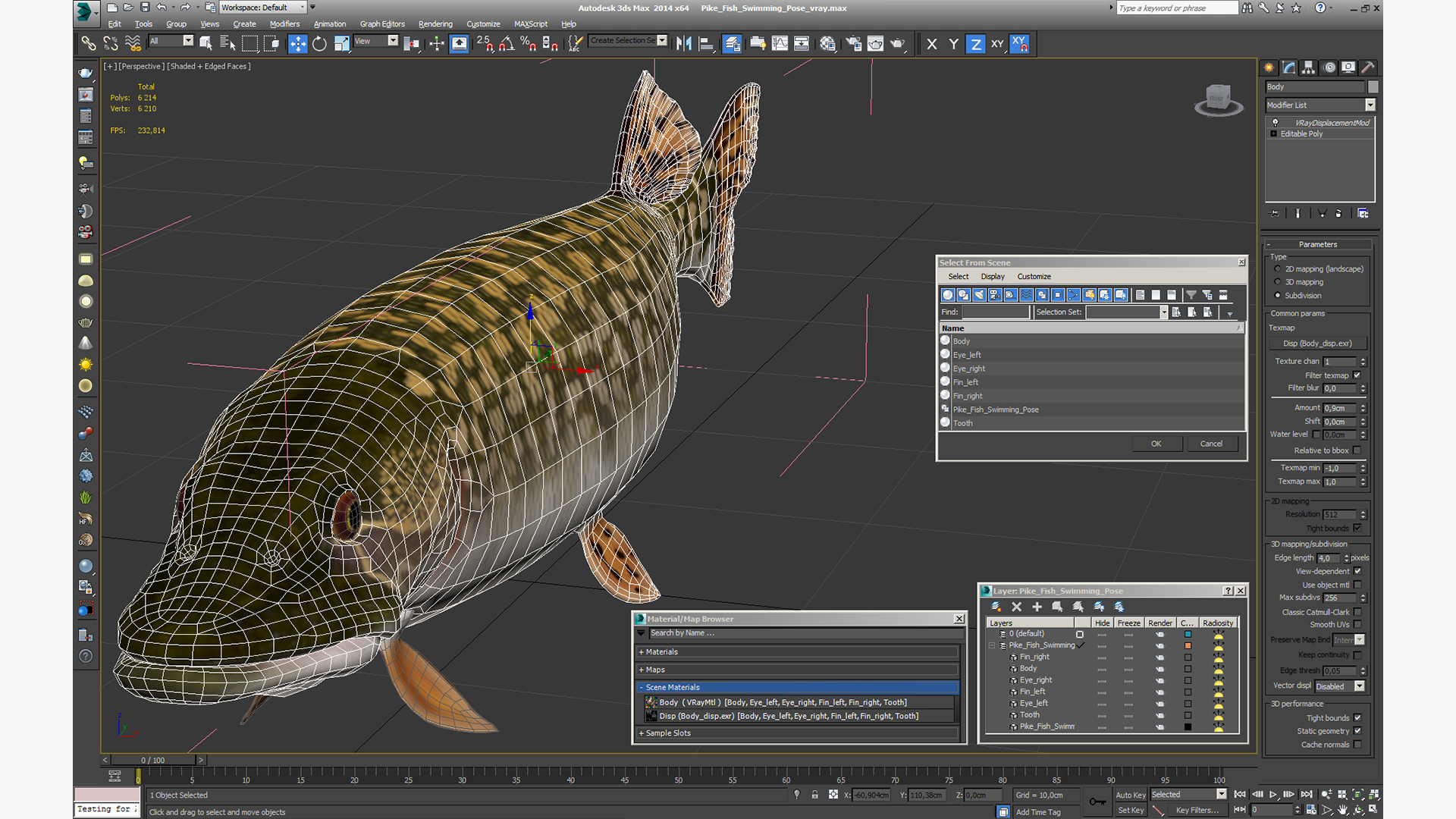 3D Pike Fish Swimming Pose model