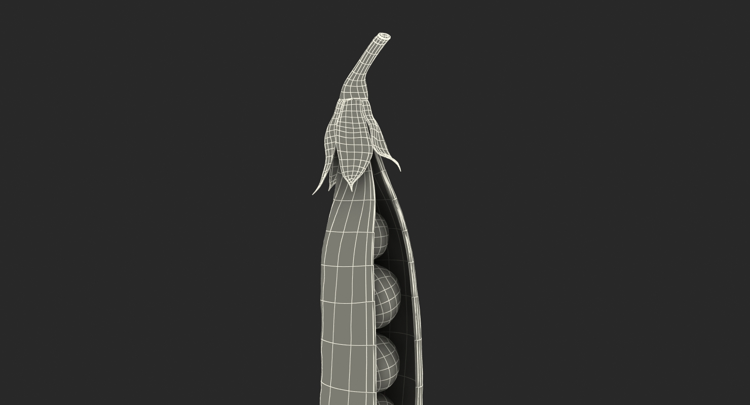 Open Green Peas Pod 3D model