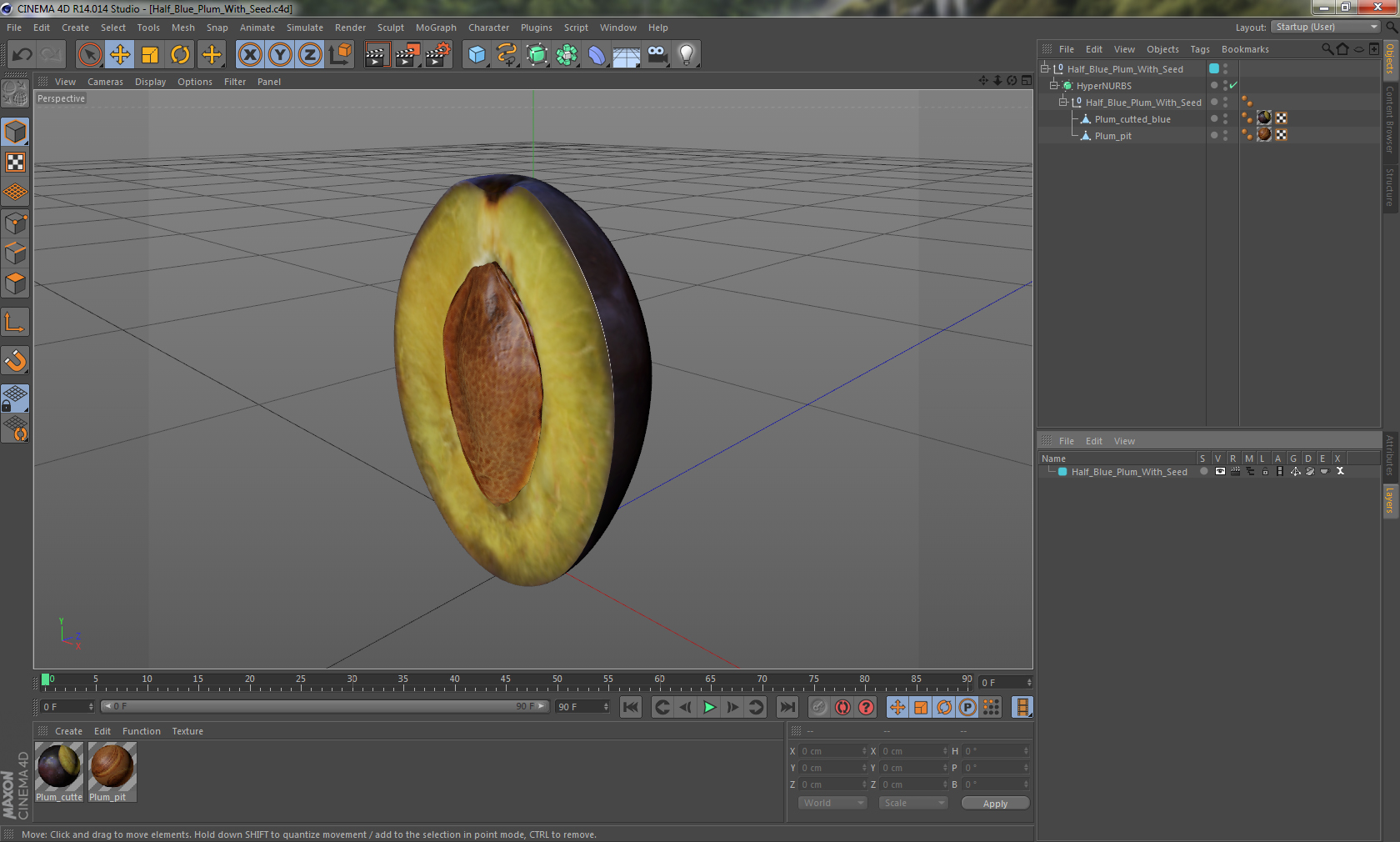 Half Blue Plum With Seed 3D model