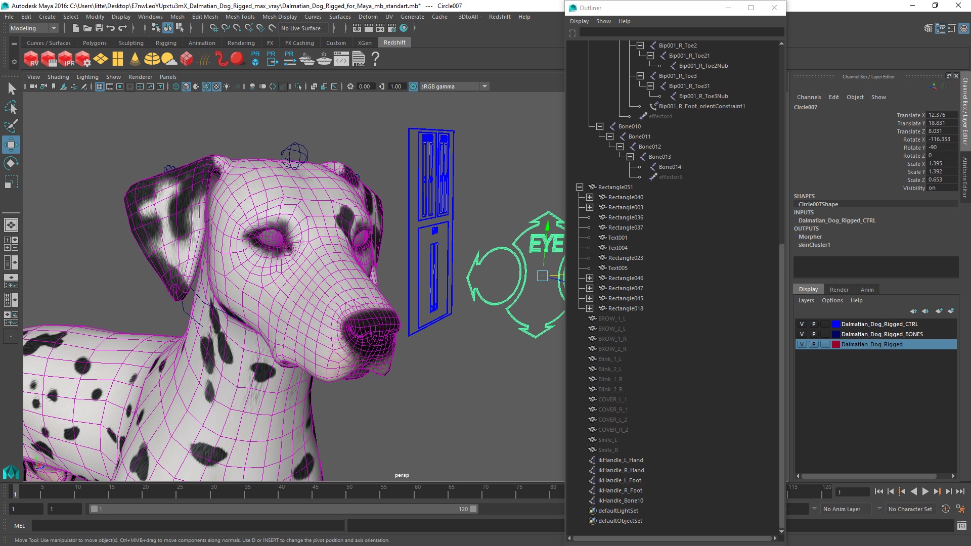 Dalmatian Dog Rigged for Maya 3D model