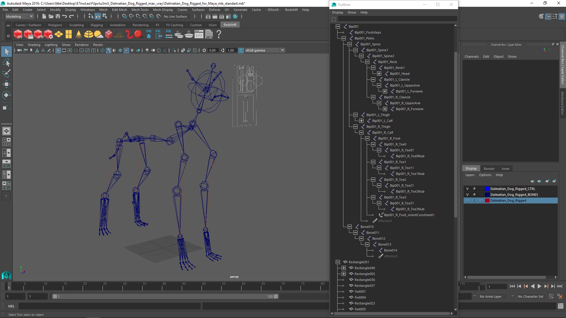 Dalmatian Dog Rigged for Maya 3D model
