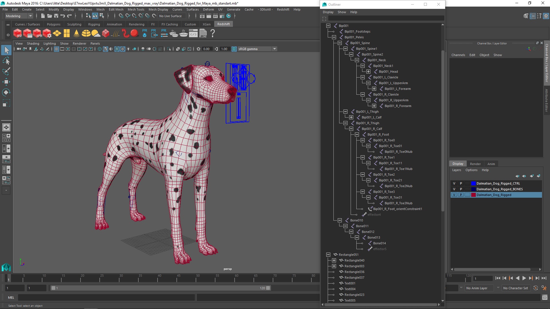 Dalmatian Dog Rigged for Maya 3D model