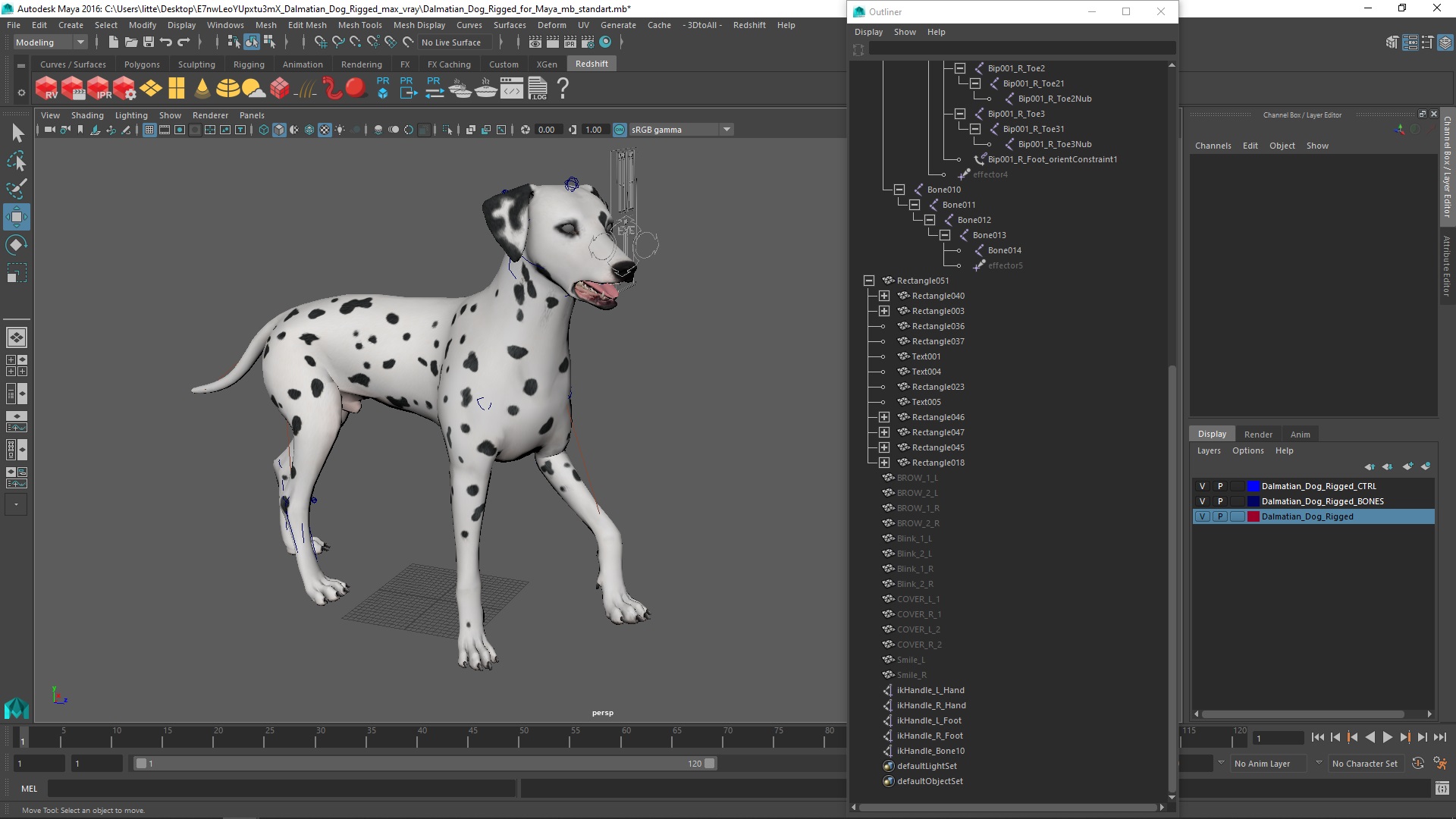 Dalmatian Dog Rigged for Maya 3D model