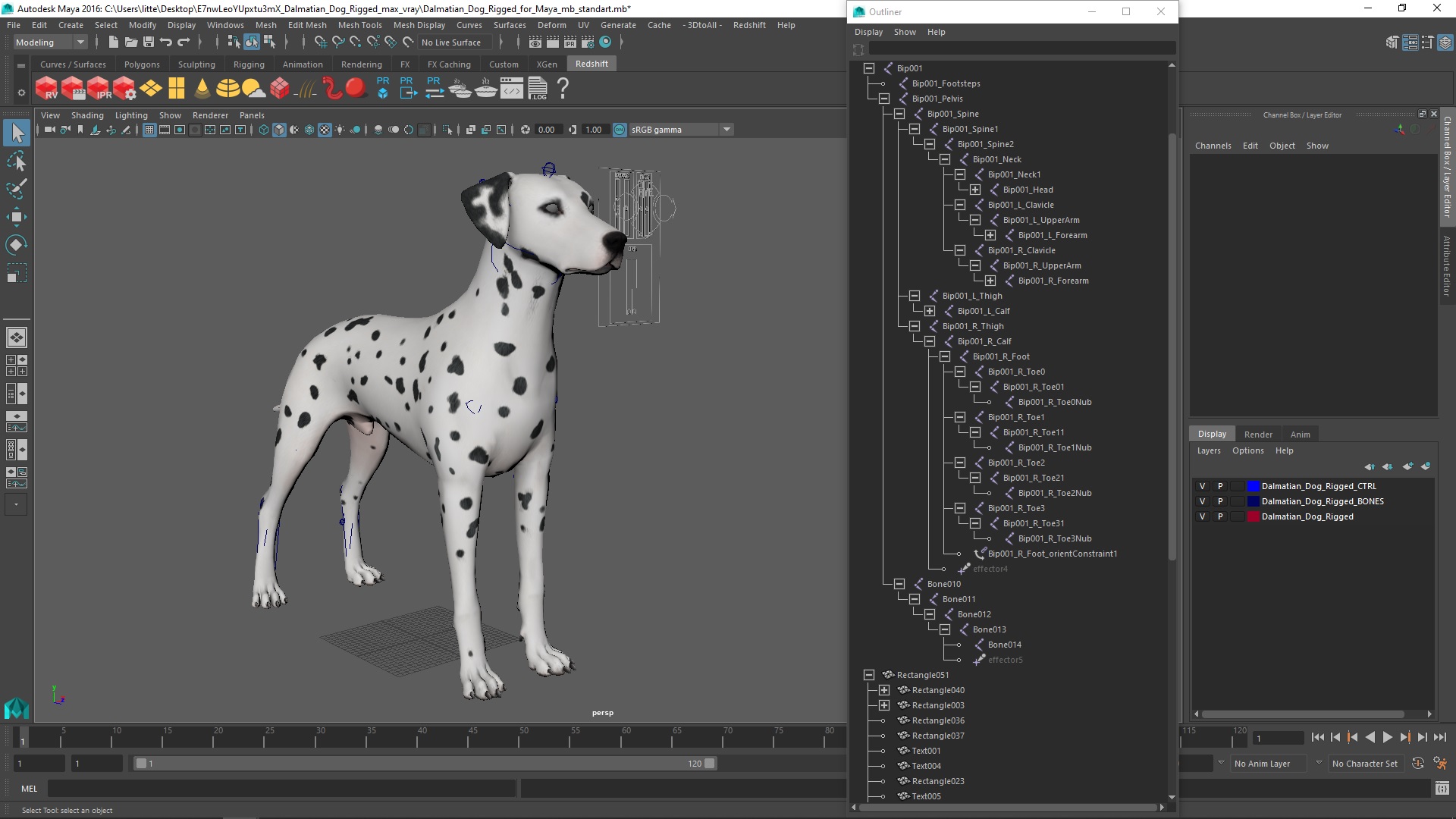 Dalmatian Dog Rigged for Maya 3D model