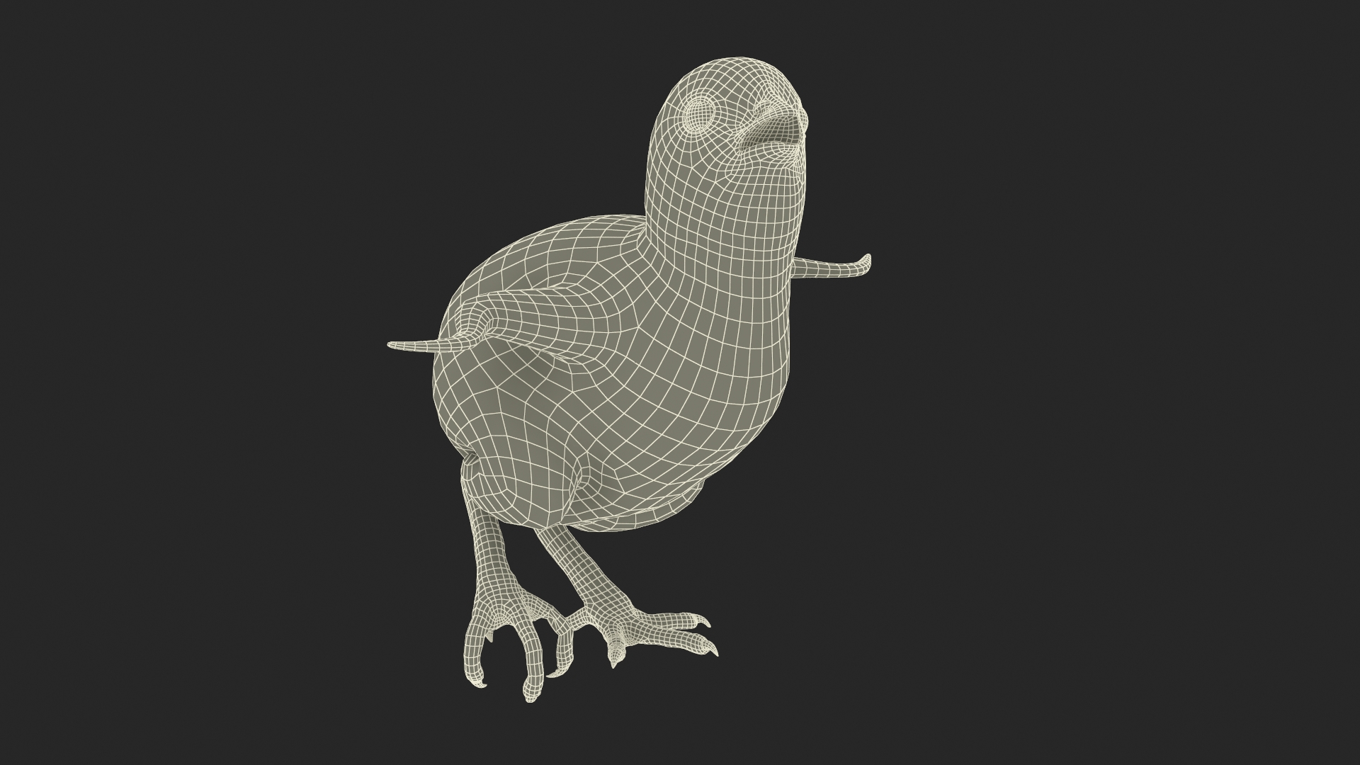 3D Baby Chicken Fur Rigged model