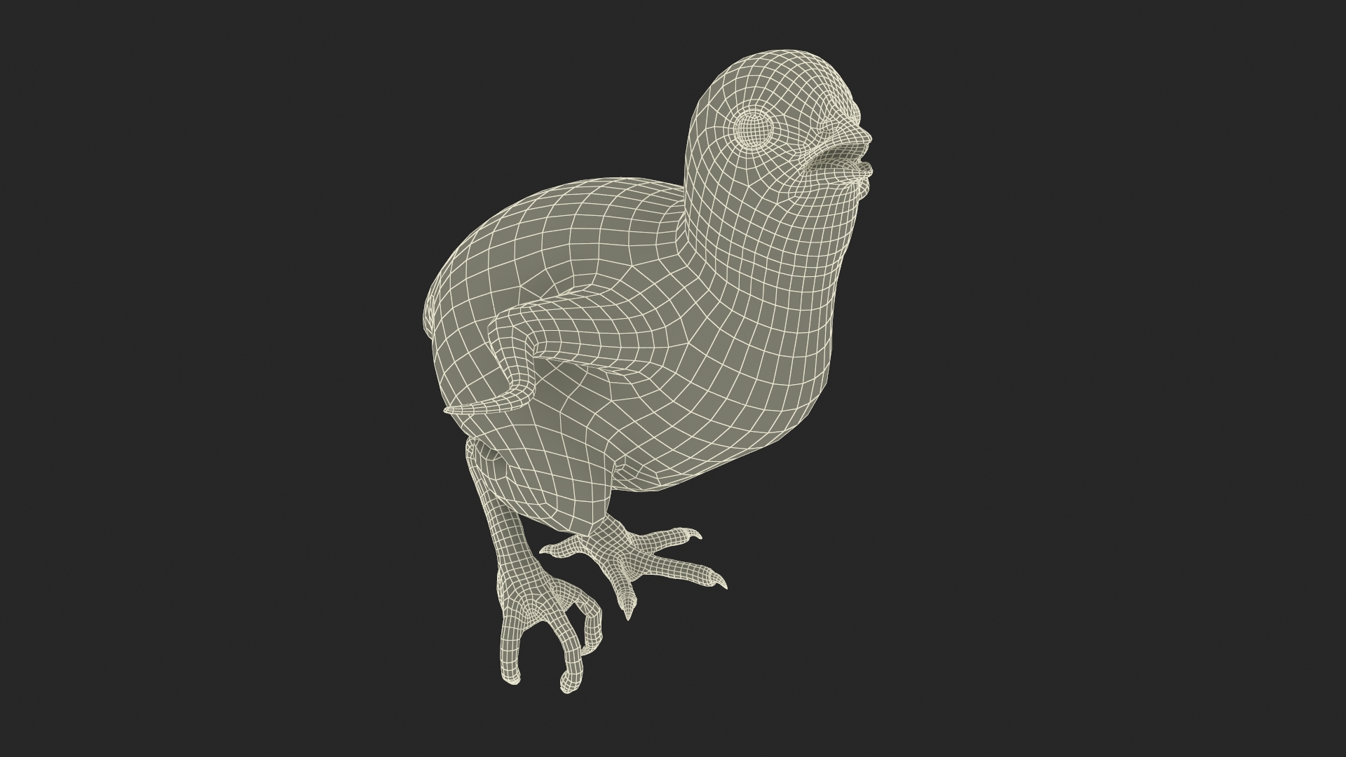3D Baby Chicken Fur Rigged model