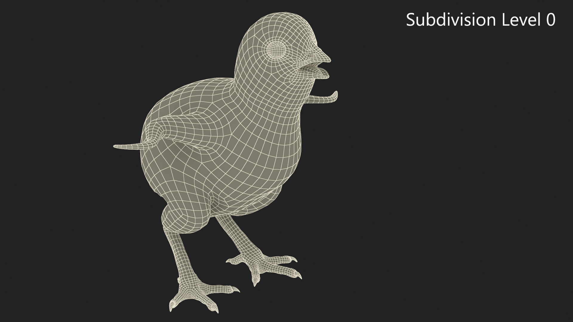 3D Baby Chicken Fur Rigged model