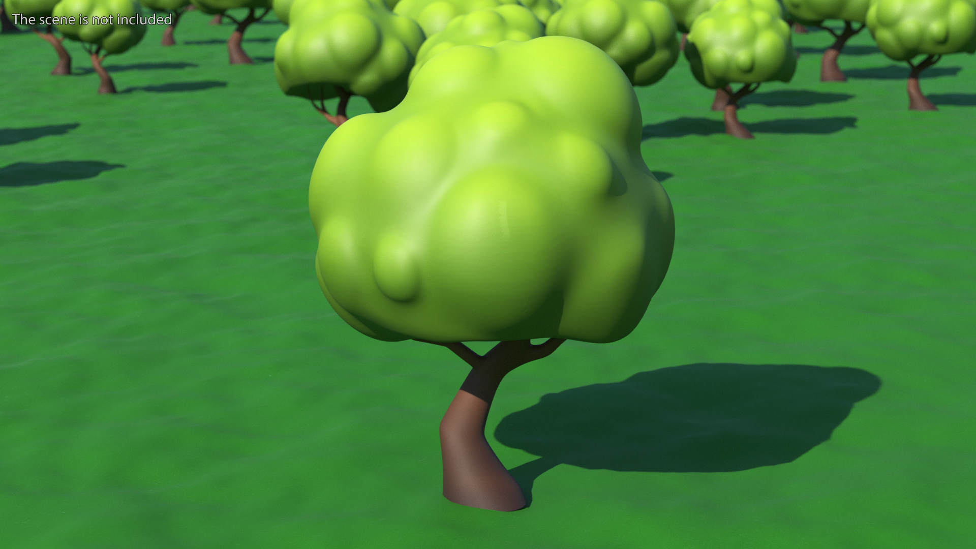 Cartoon Maple Tree Simple Coloring 3D model
