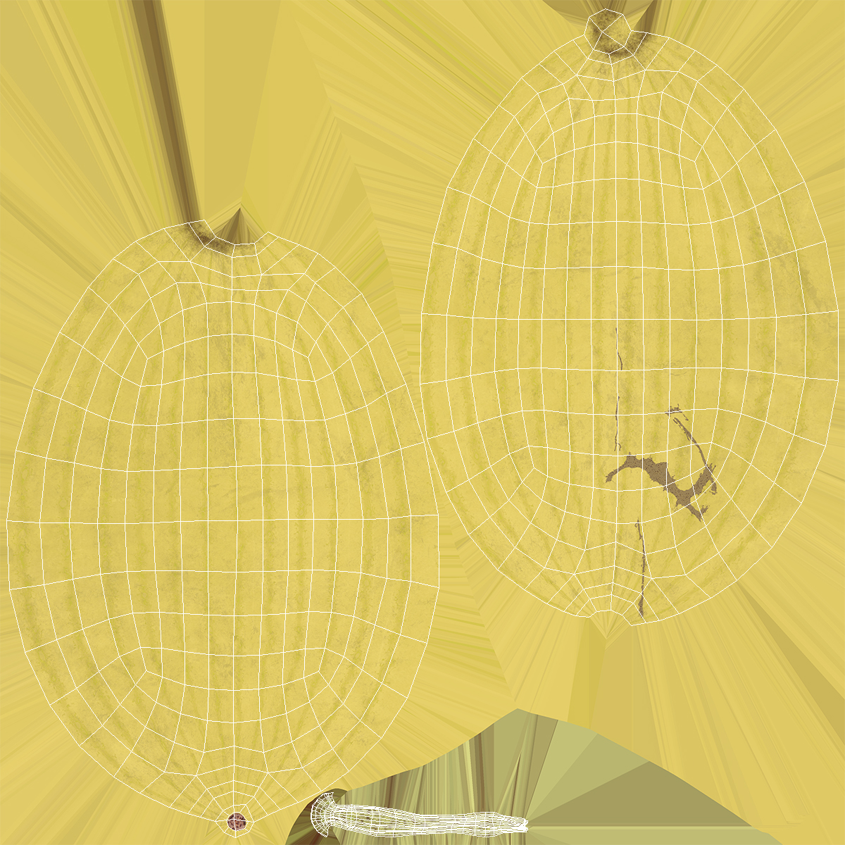 Yellow Skin Watermelon 3D