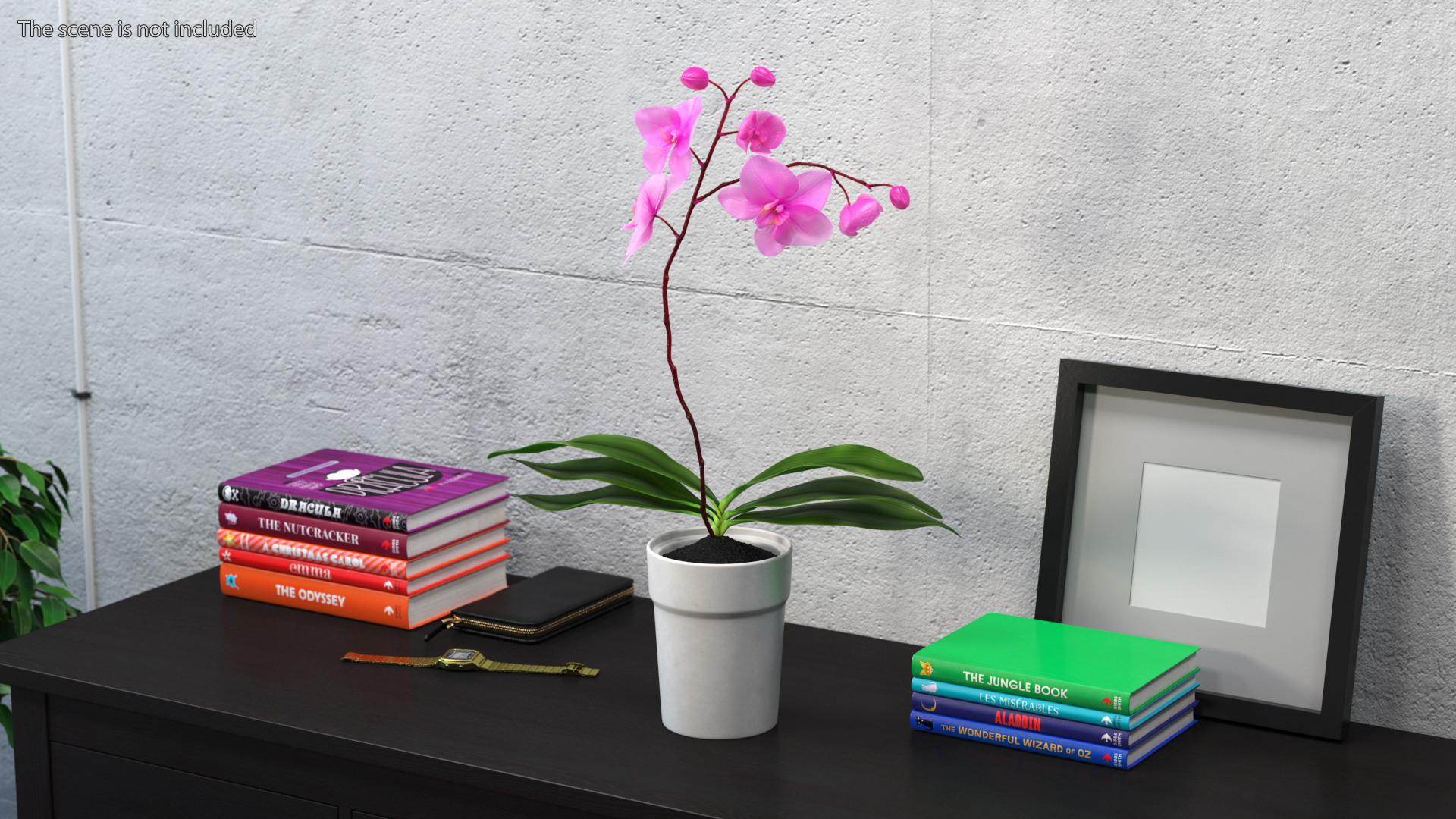 3D model Pink Orchid and White Pot