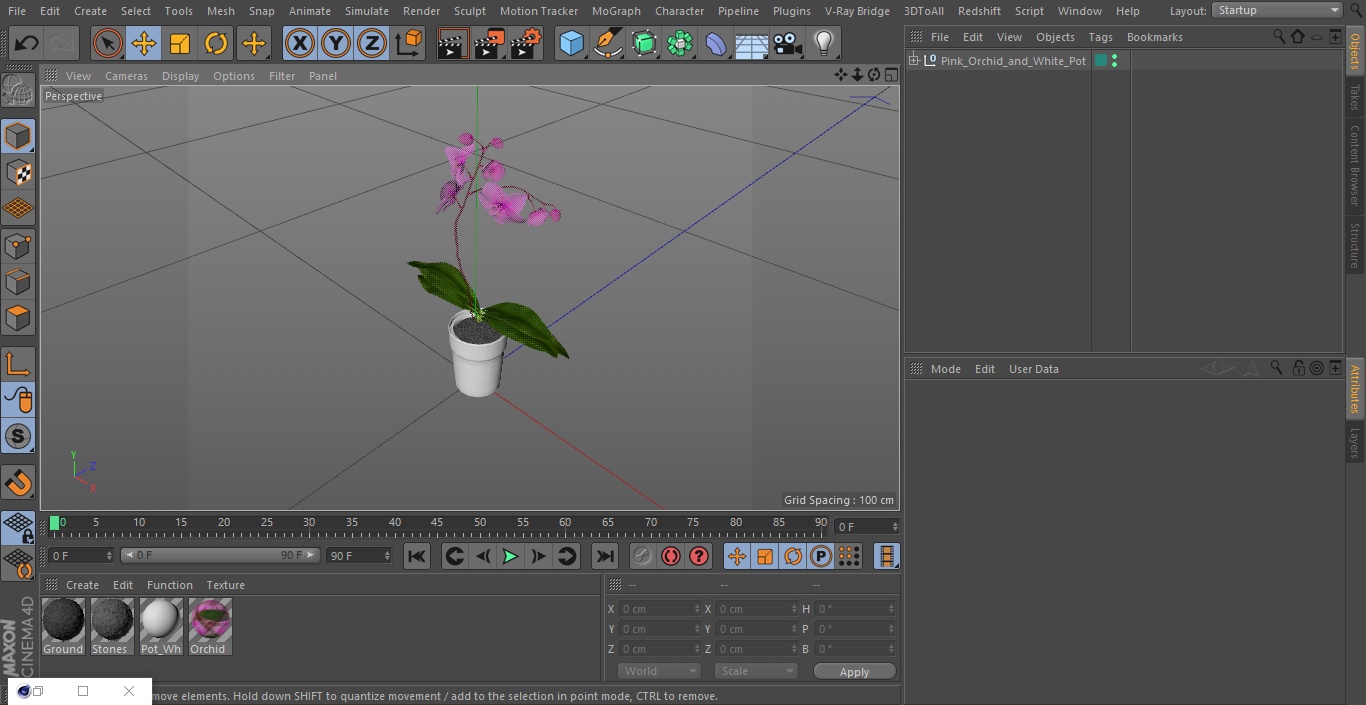 3D model Pink Orchid and White Pot