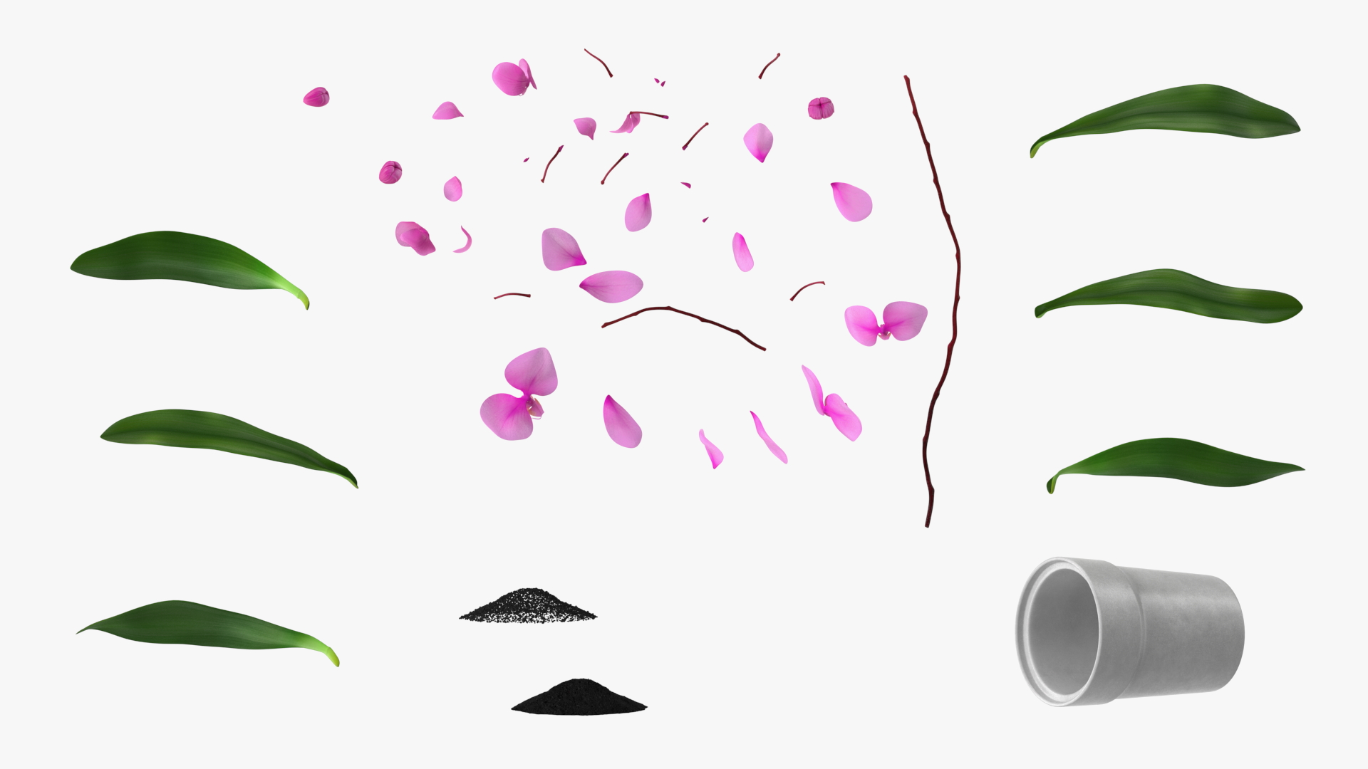 3D model Pink Orchid and White Pot