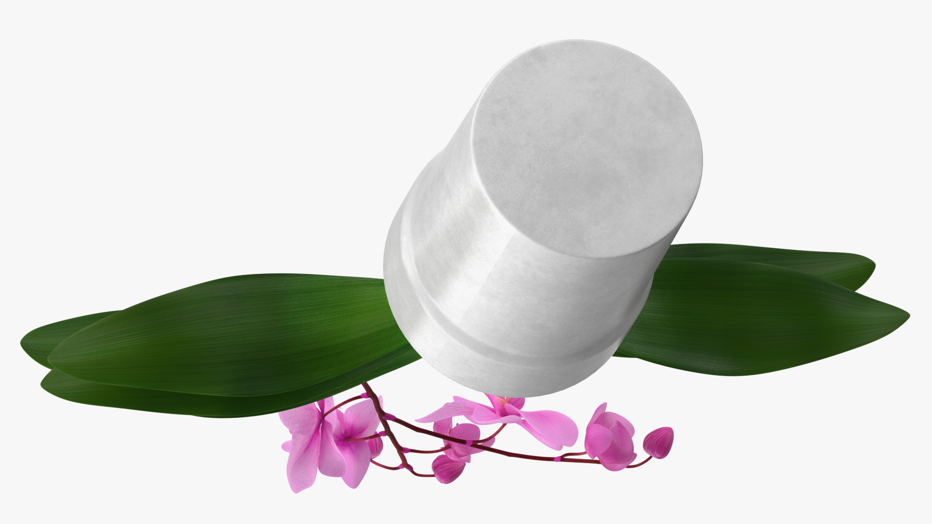 3D model Pink Orchid and White Pot