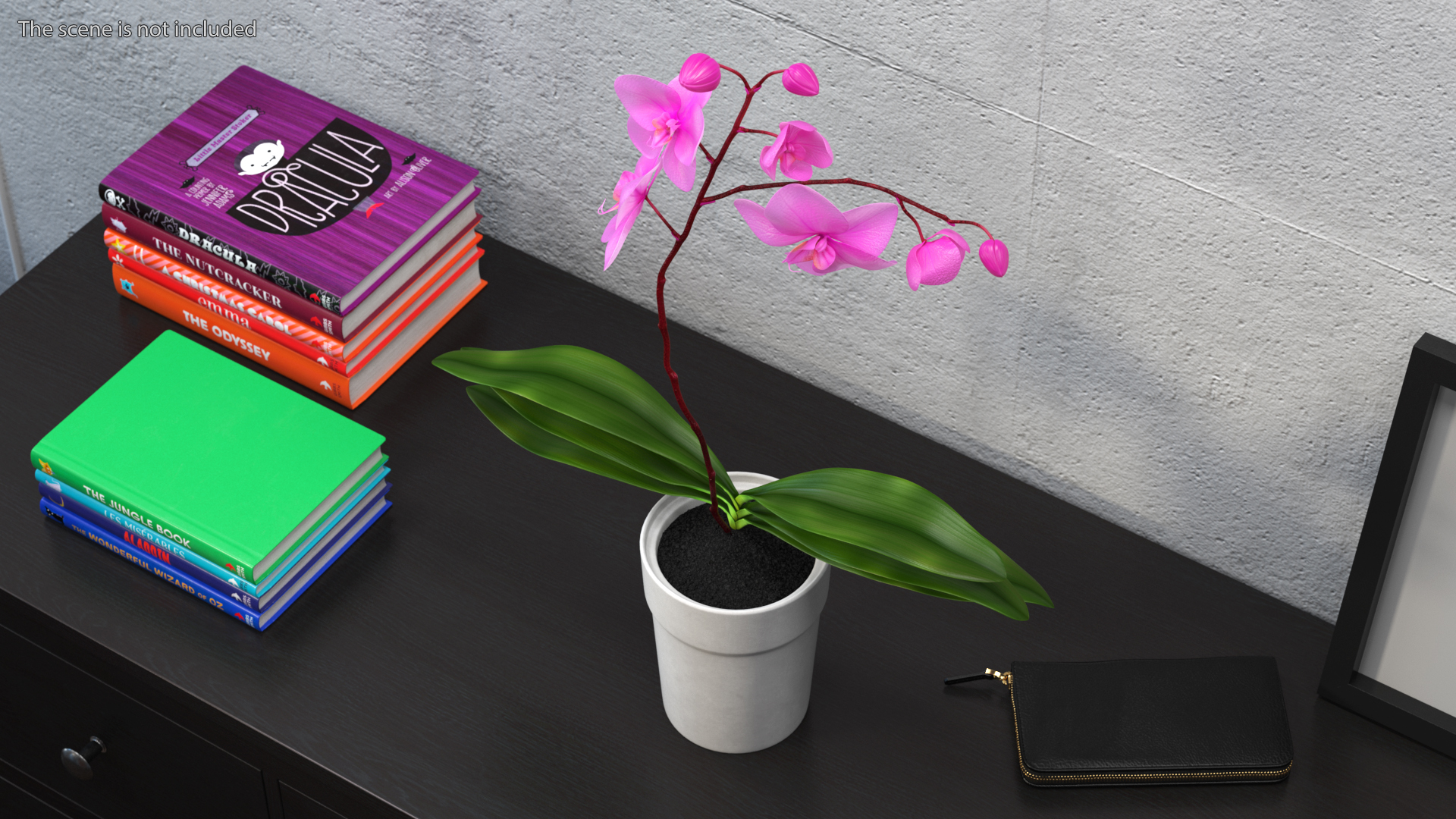 3D model Pink Orchid and White Pot