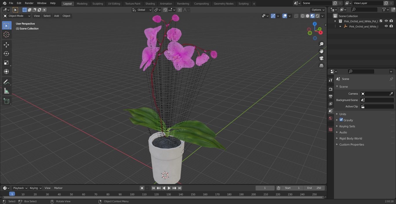3D model Pink Orchid and White Pot