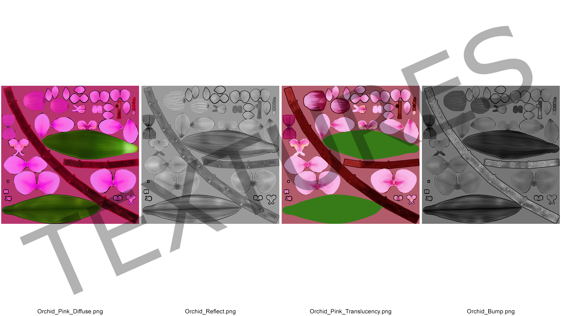 3D model Pink Orchid and White Pot