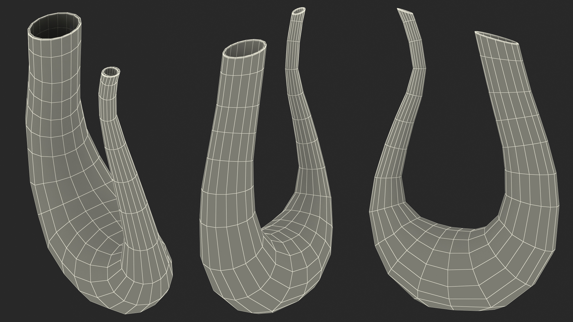 U Shaped Horn Wine Decanter 3D