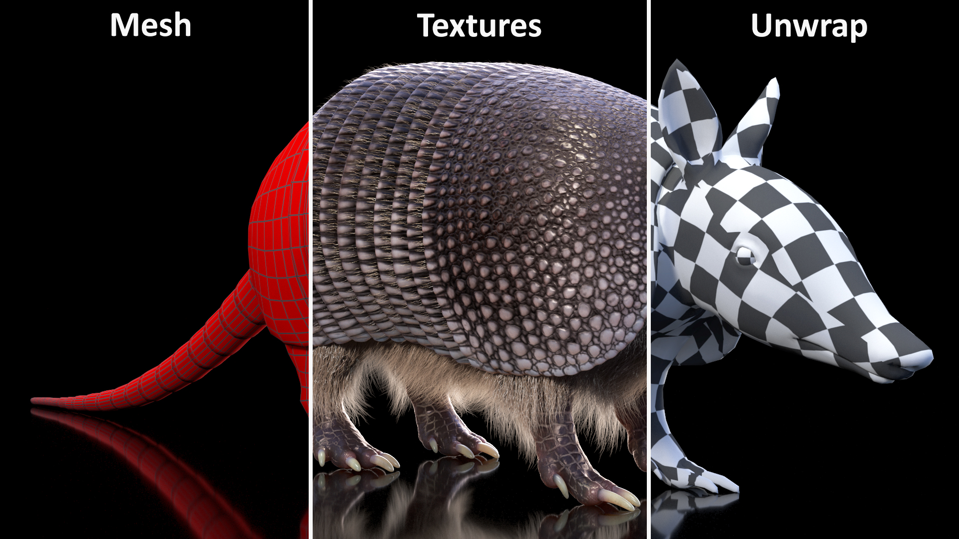 Armadillo Black Fur 3D model