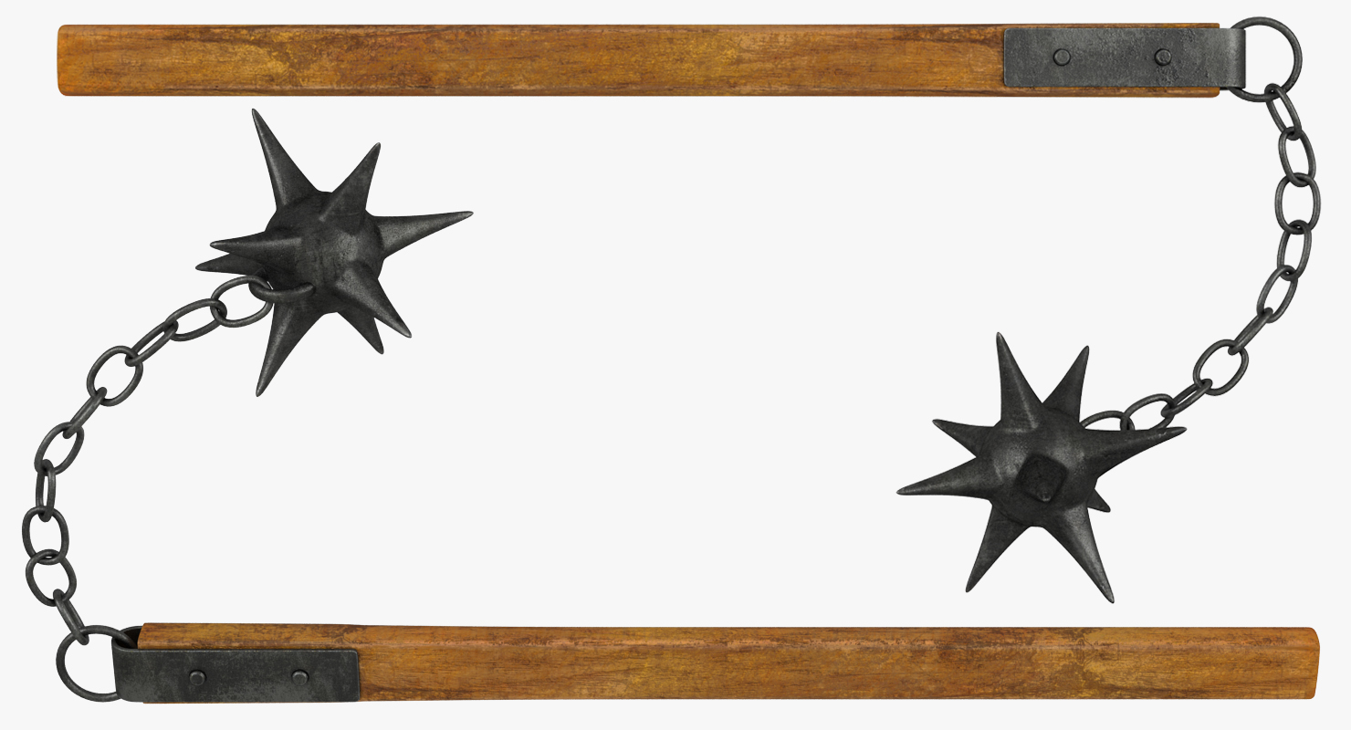 Long Spiked Flail 3D