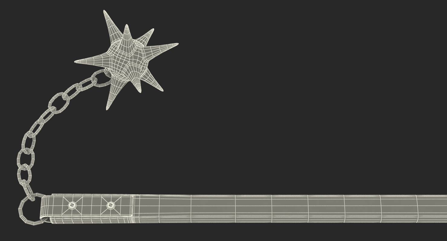 Long Spiked Flail 3D