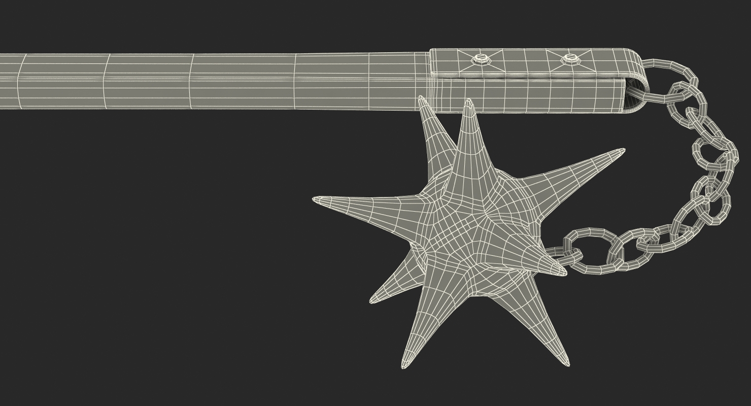 Long Spiked Flail 3D