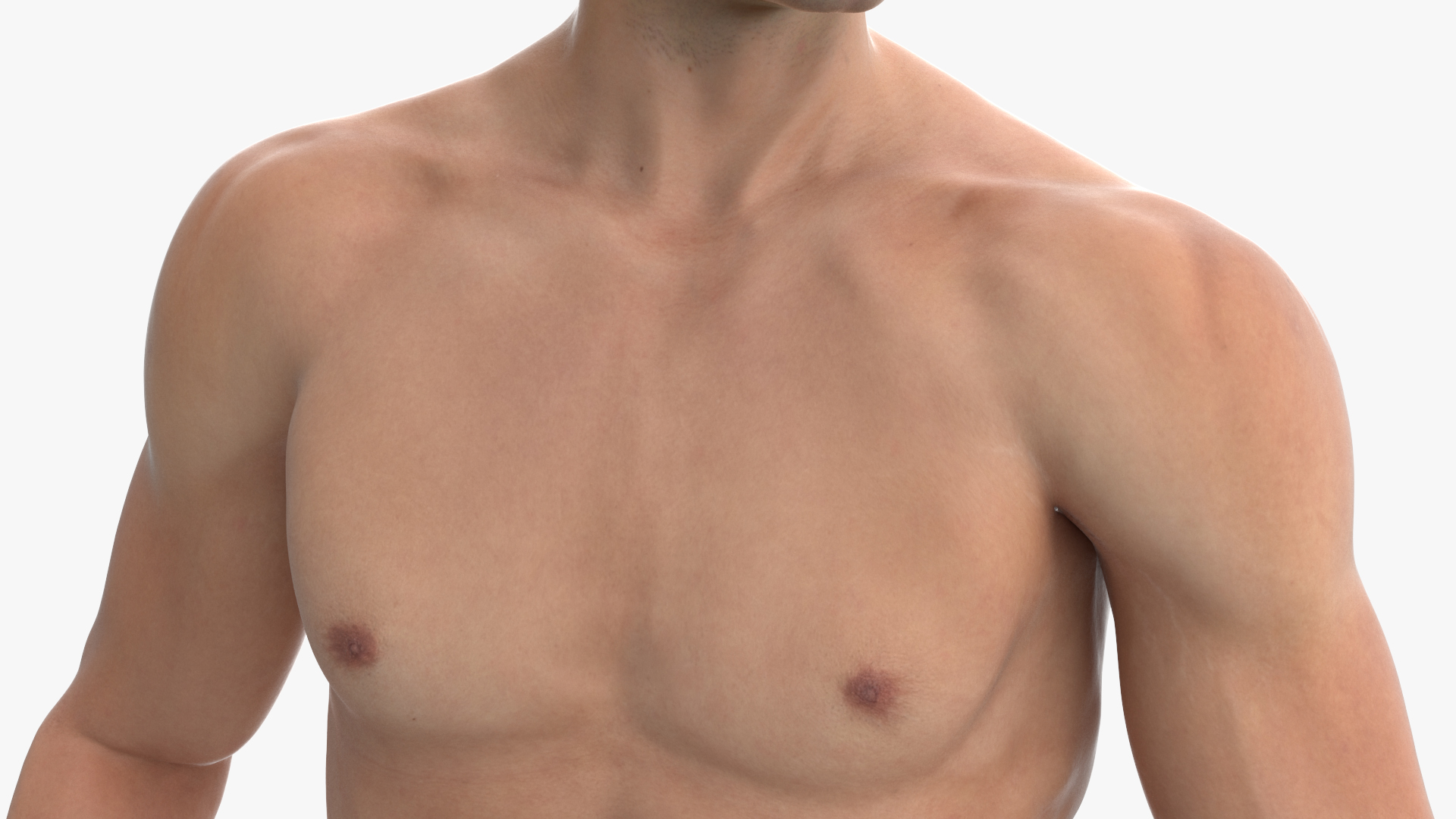 3D Athletic Male Figure in Underwear model