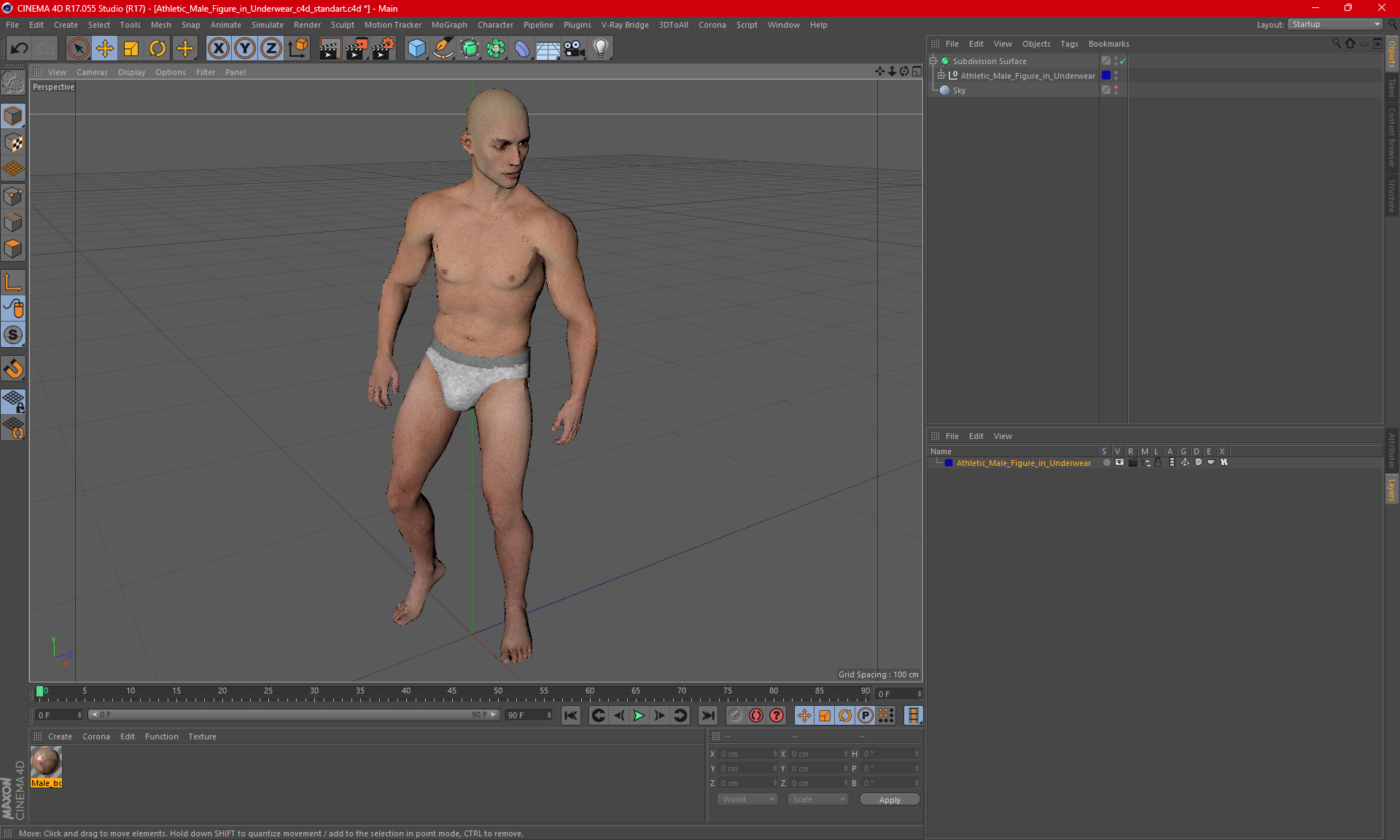 3D Athletic Male Figure in Underwear model