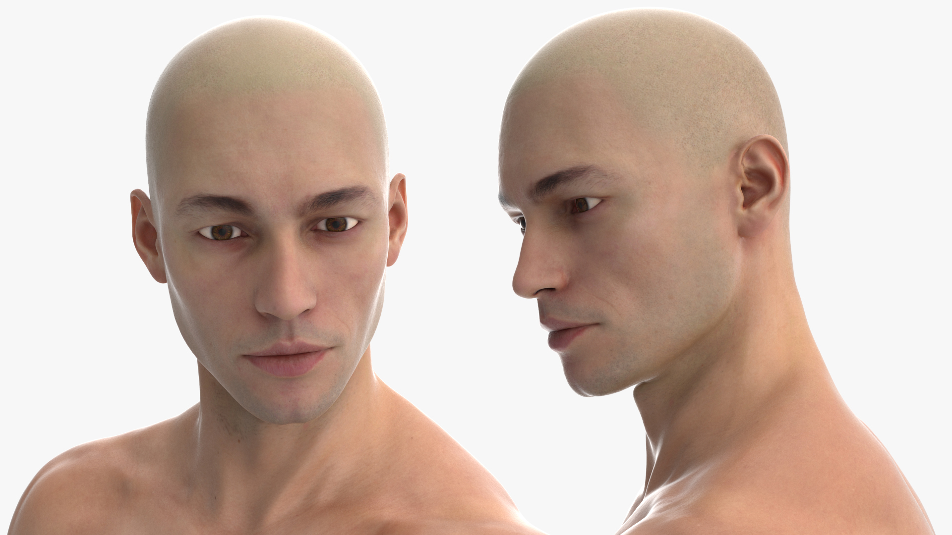 3D Athletic Male Figure in Underwear model