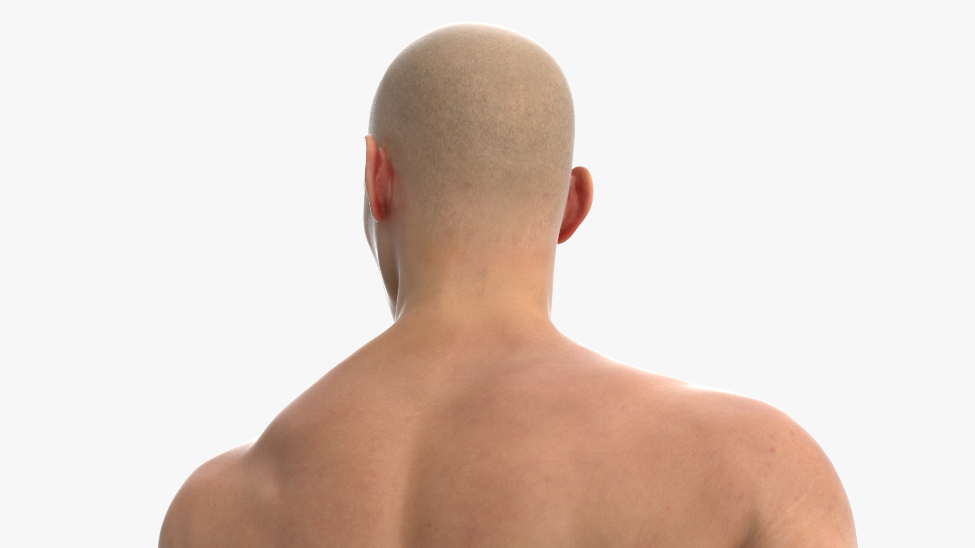 3D Athletic Male Figure in Underwear model