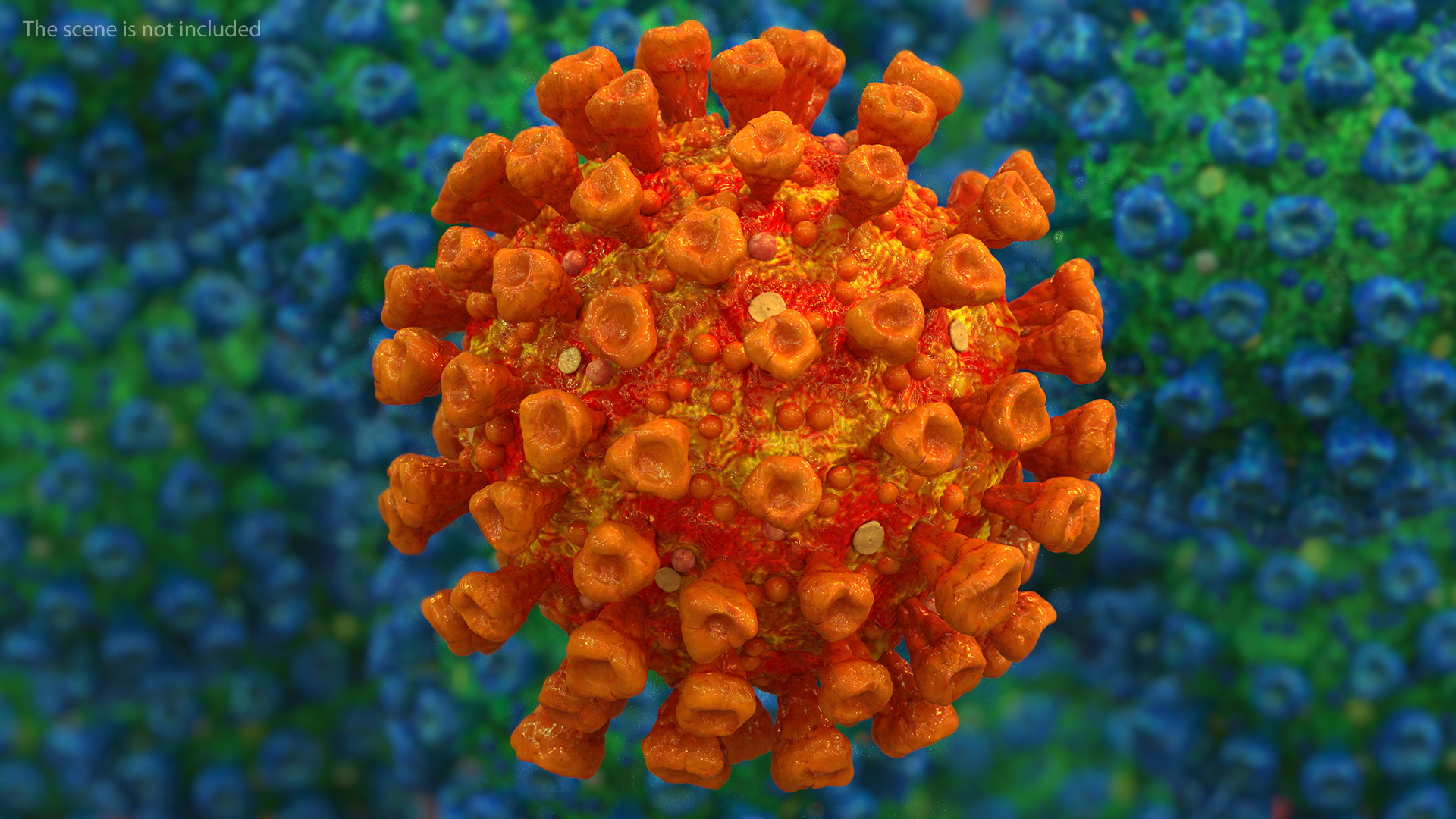 3D model Coronavirus SARS-CoV