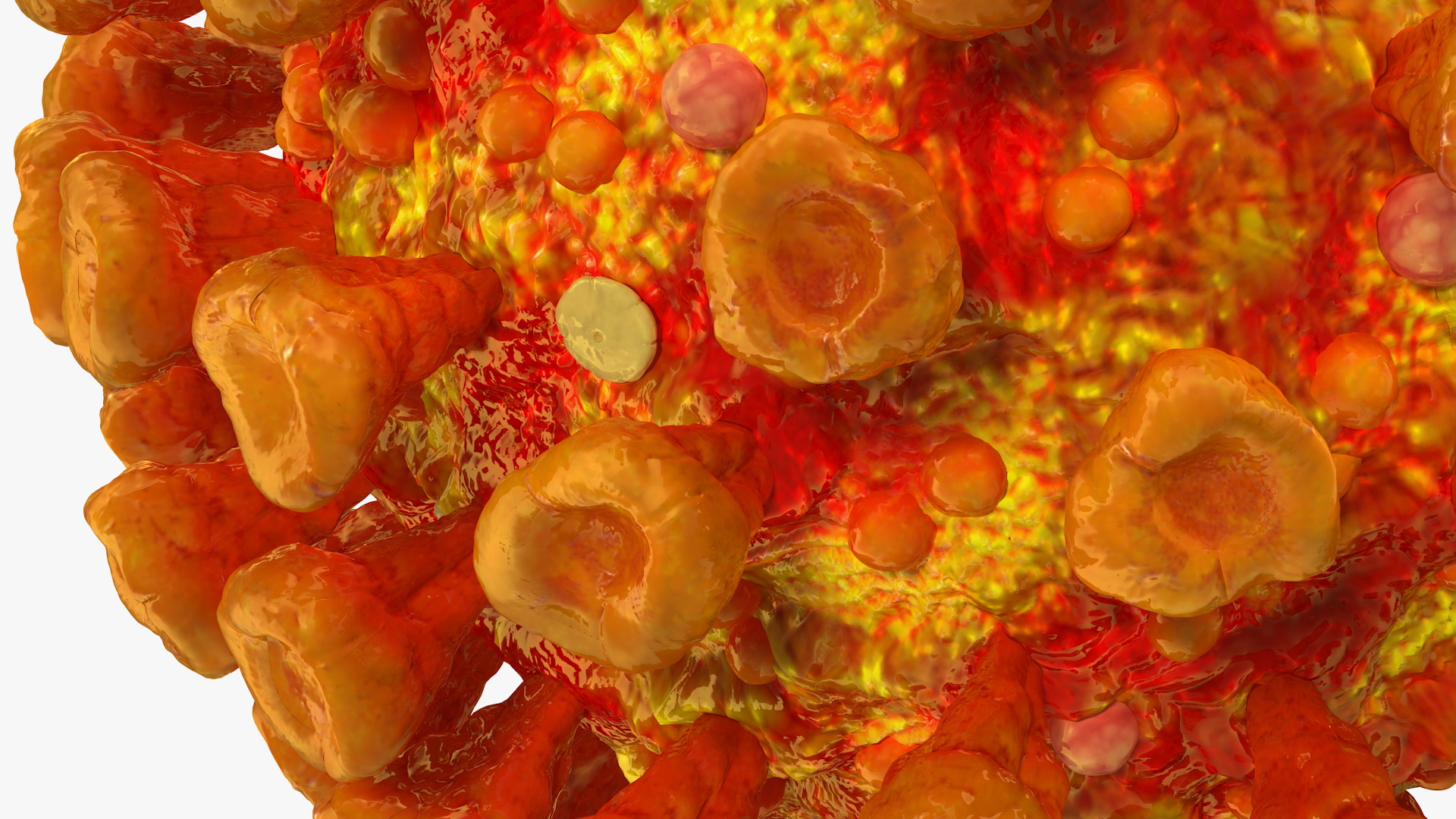 3D model Coronavirus SARS-CoV