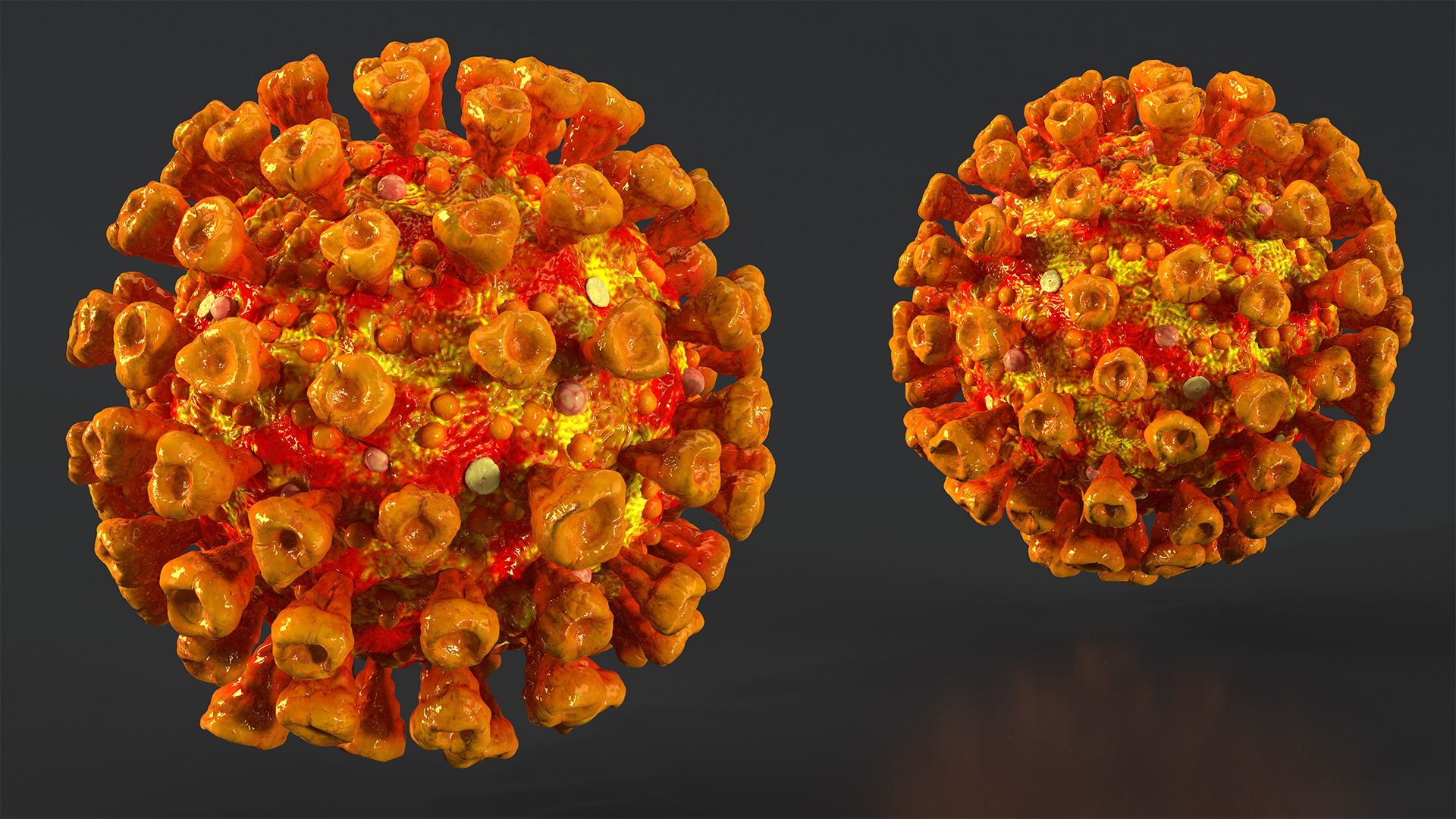 3D model Coronavirus SARS-CoV