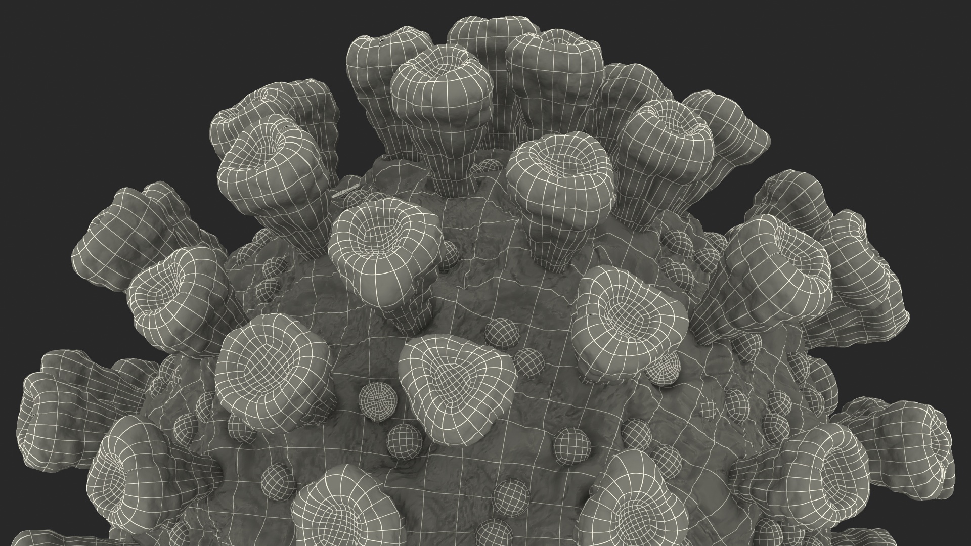 3D model Coronavirus SARS-CoV