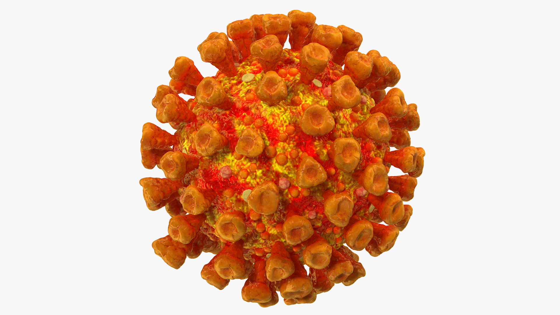 3D model Coronavirus SARS-CoV