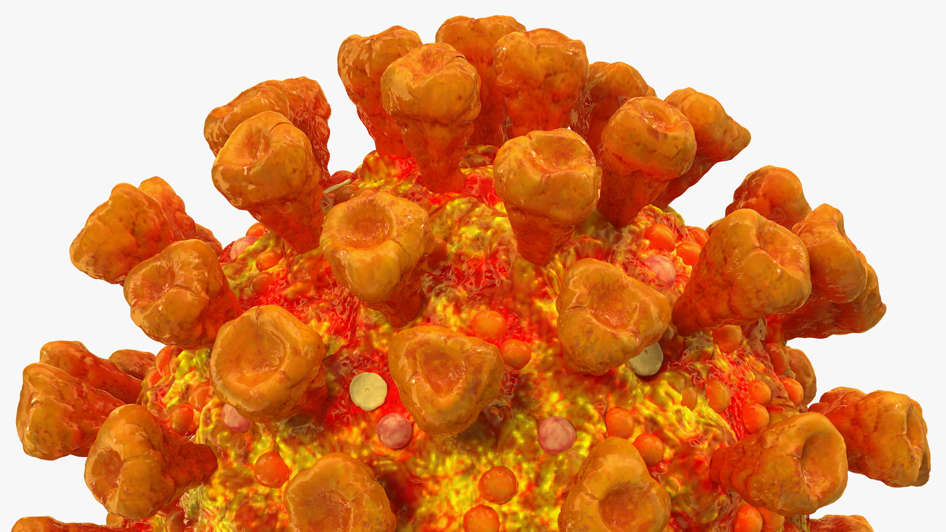 3D model Coronavirus SARS-CoV